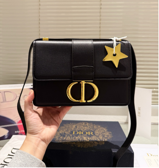 Christian Dior Bags