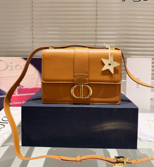 Christian Dior Bags