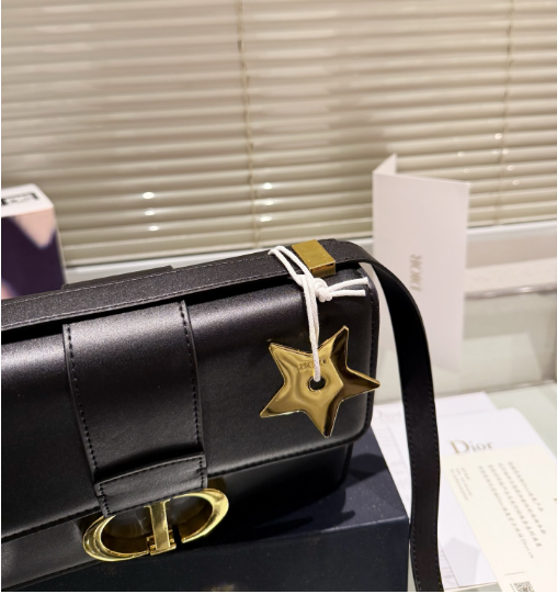 Christian Dior Bags