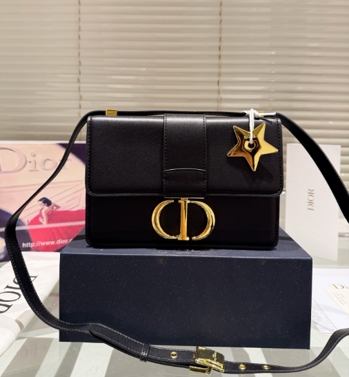 Christian Dior Bags