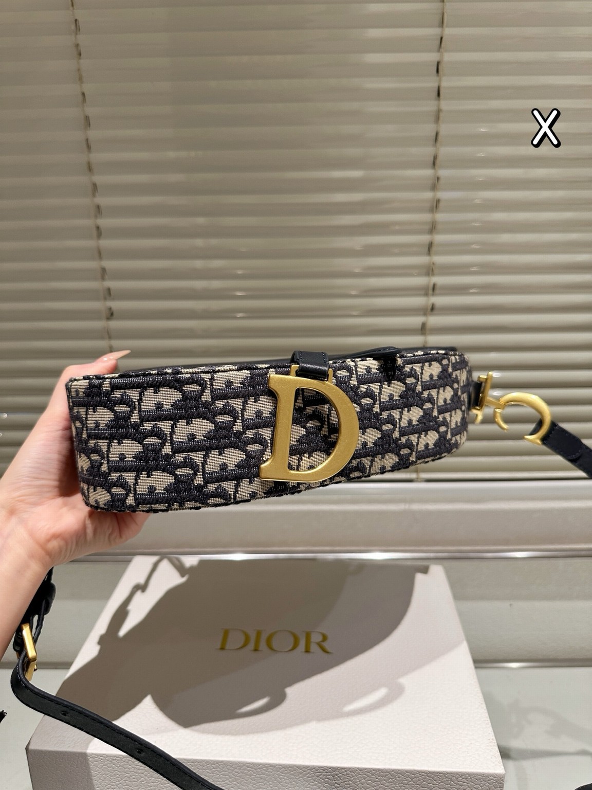 Christian Dior Bags