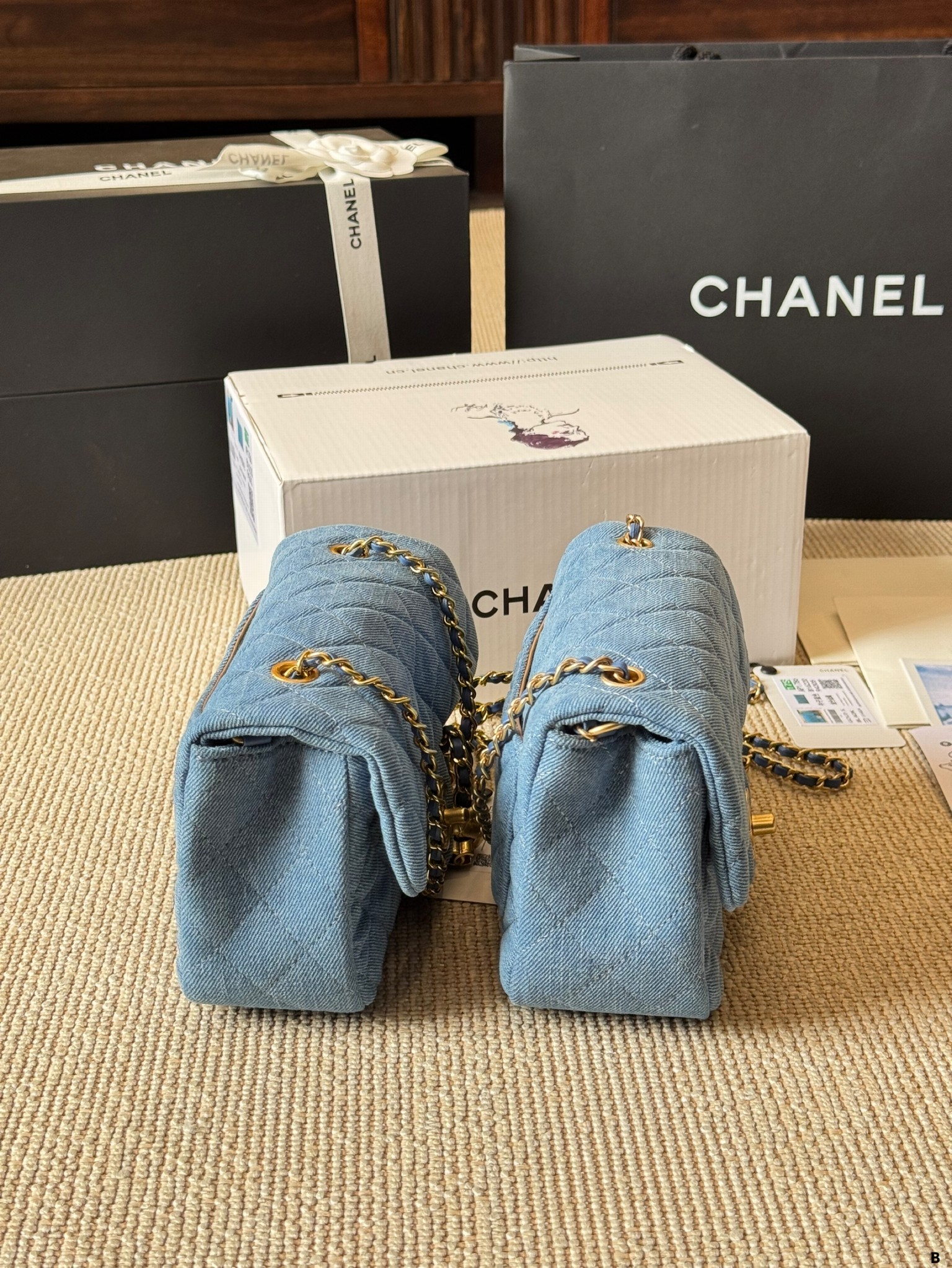 Chanel Bags