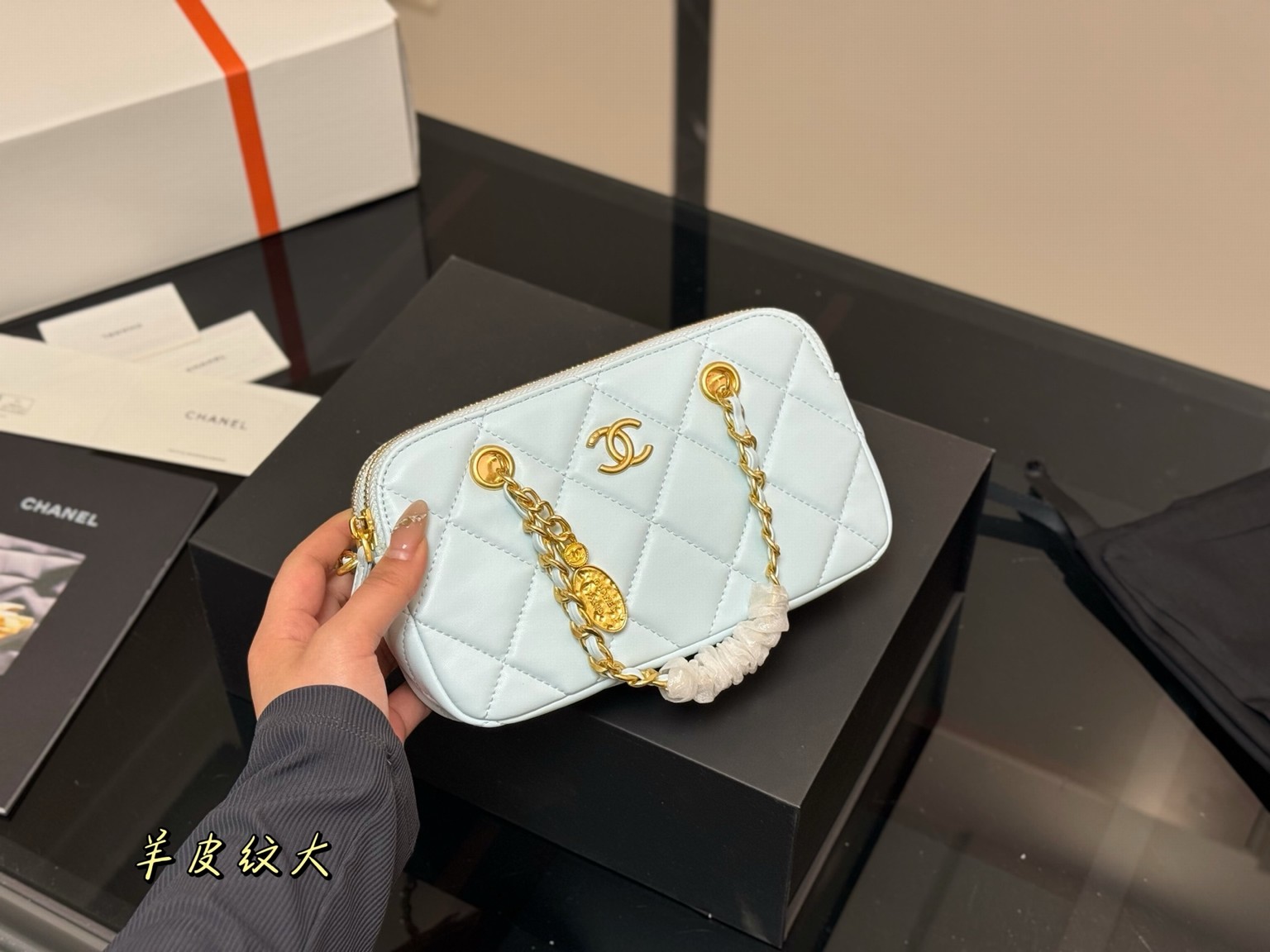 Chanel Bags