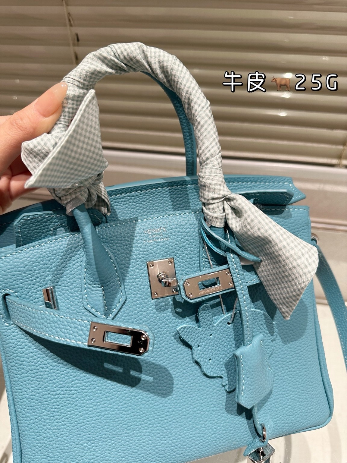 Hermes Bags