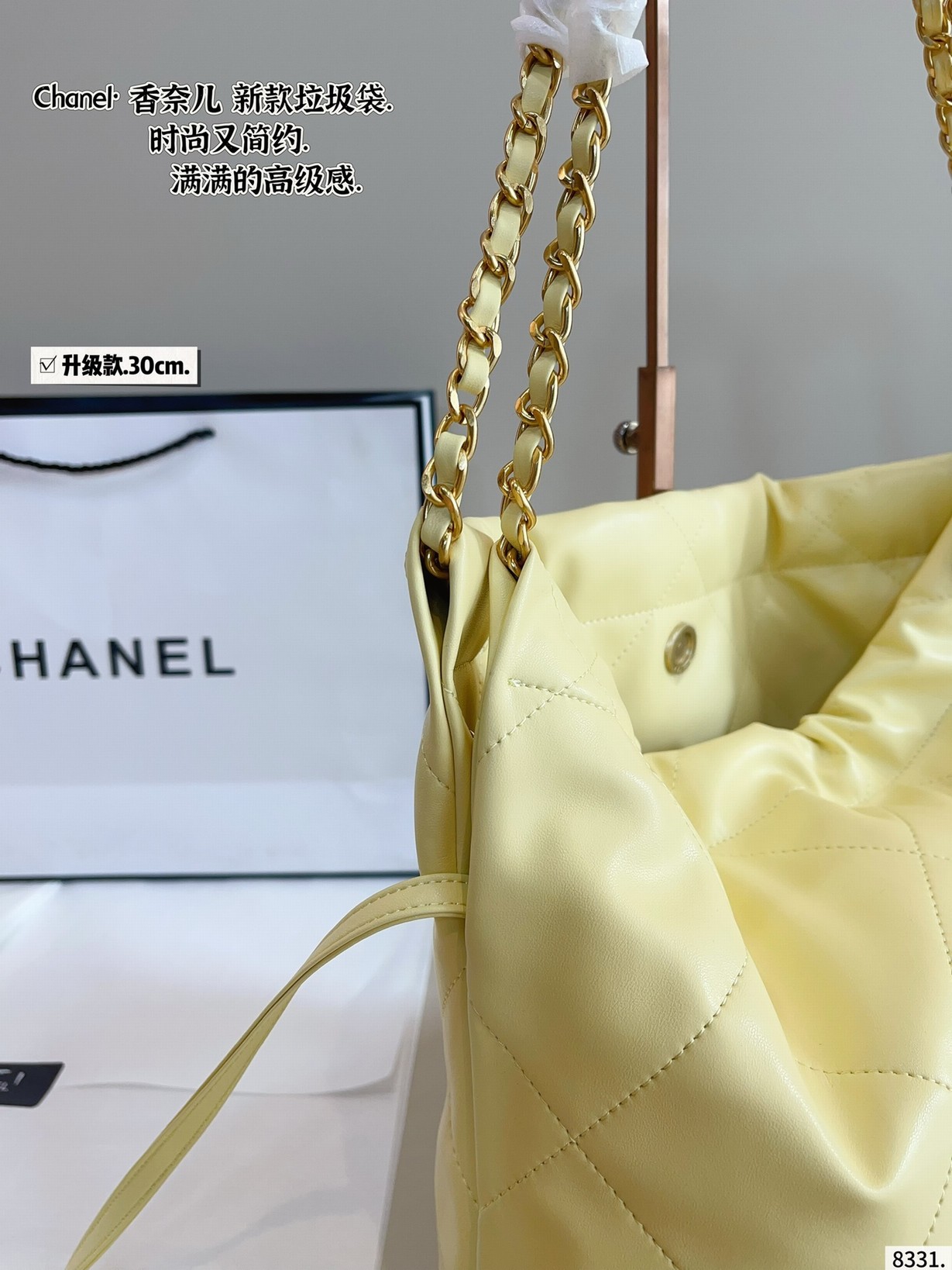 Chanel Bags