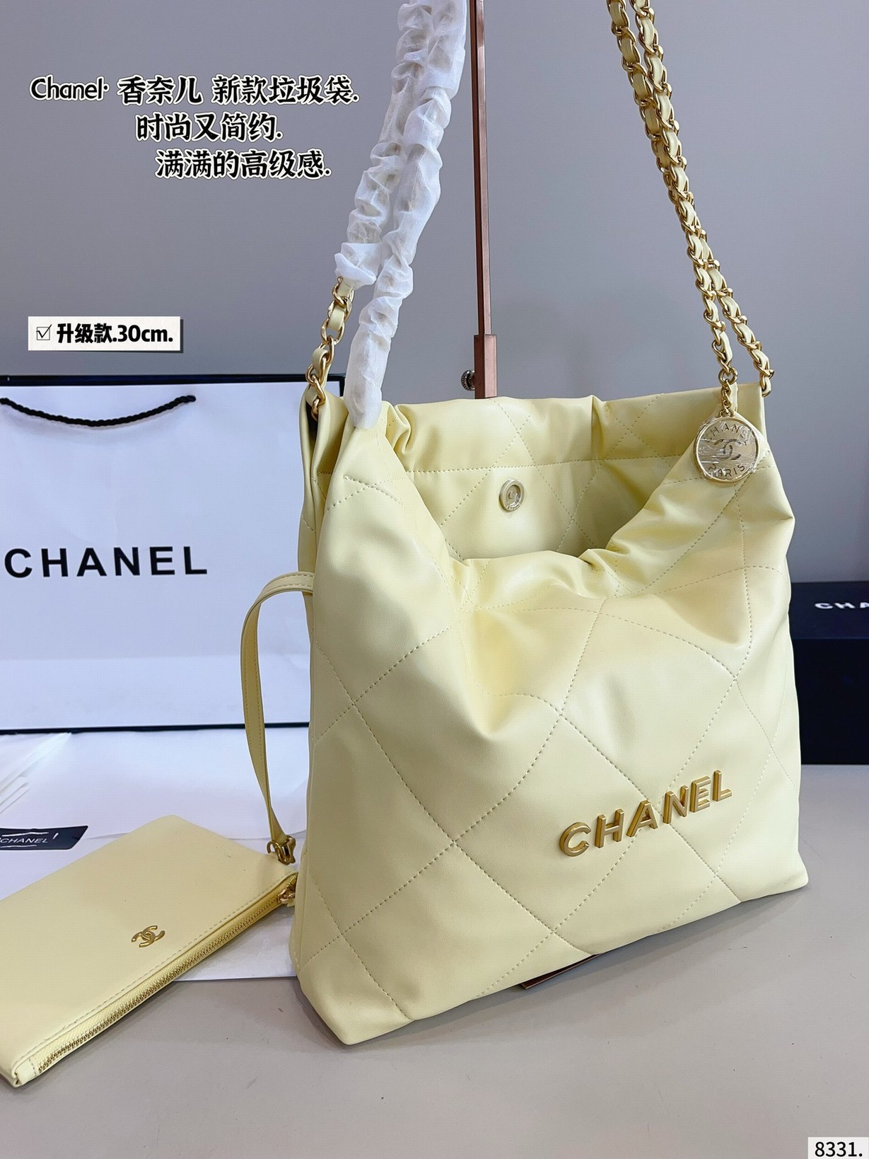 Chanel Bags