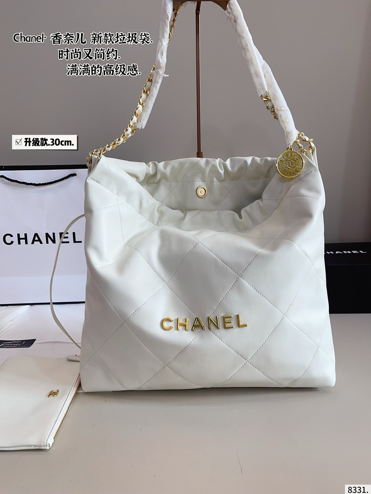 Chanel Bags