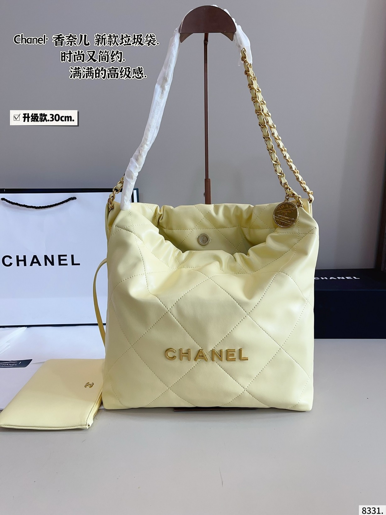 Chanel Bags