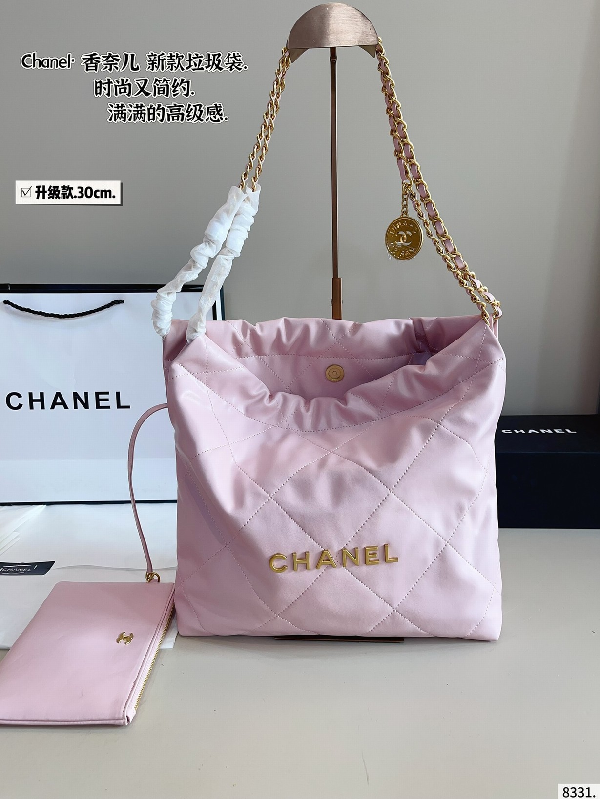 Chanel Bags