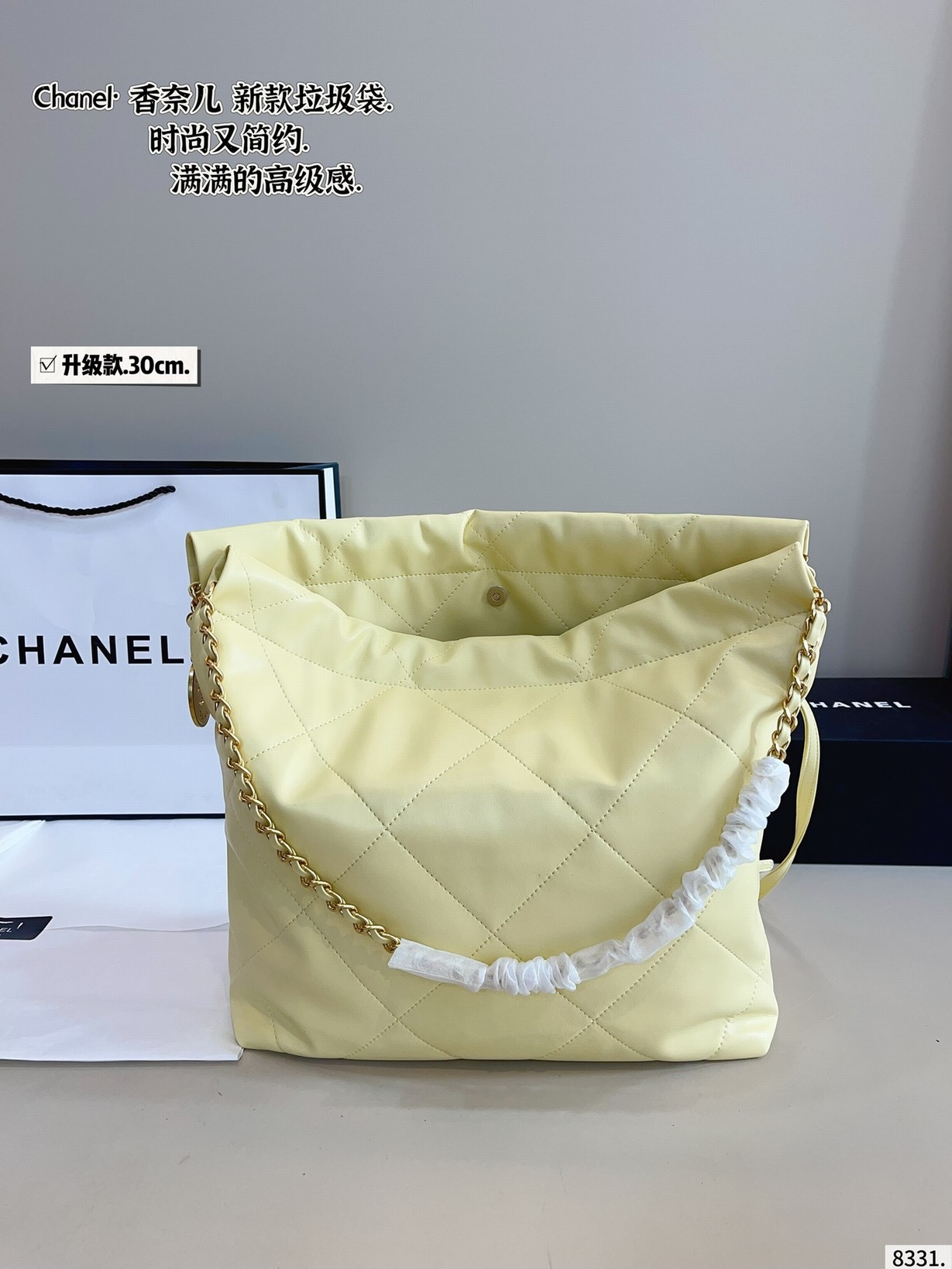 Chanel Bags