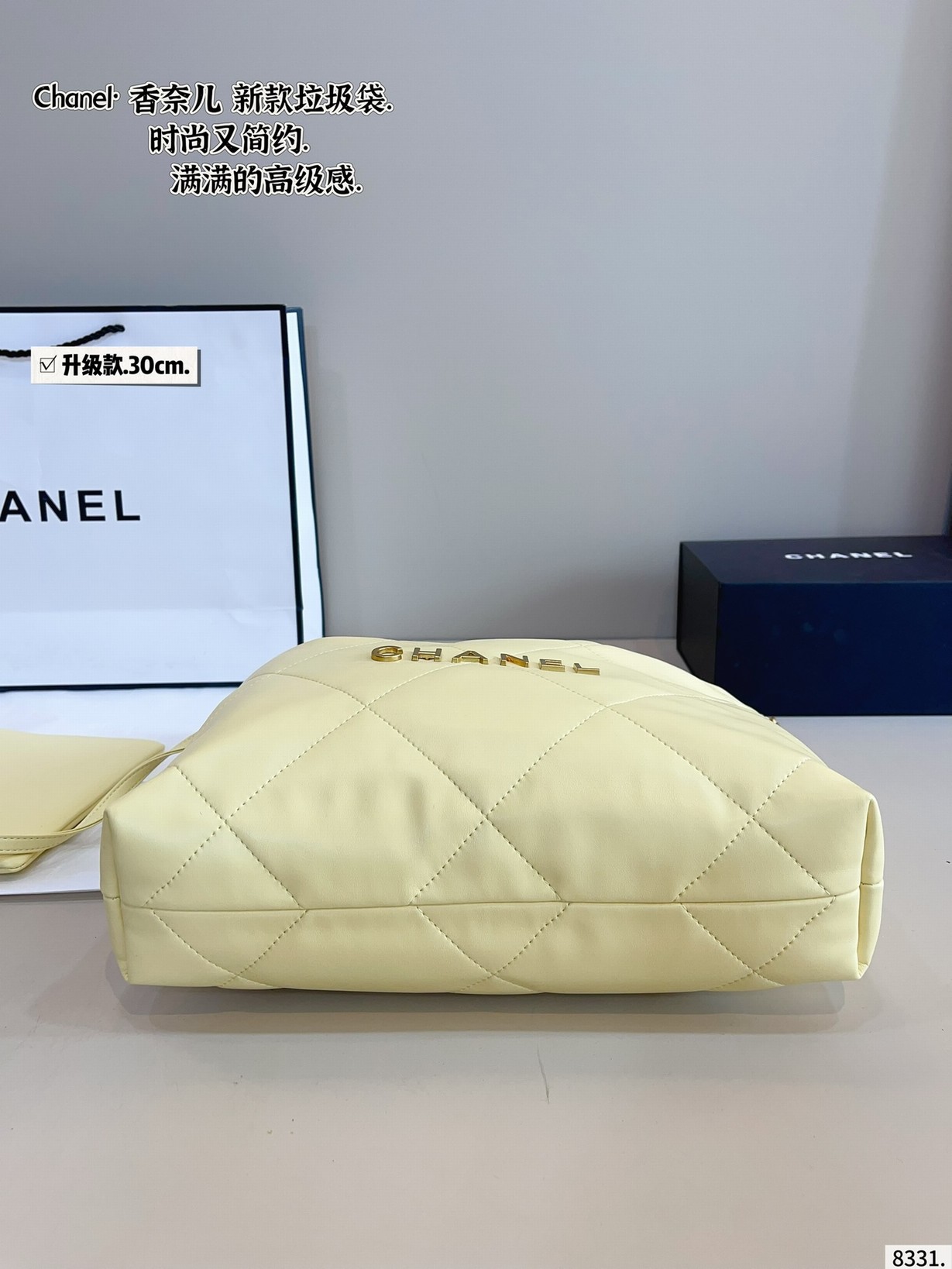 Chanel Bags
