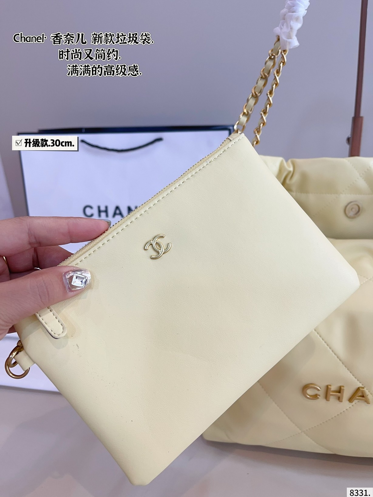 Chanel Bags