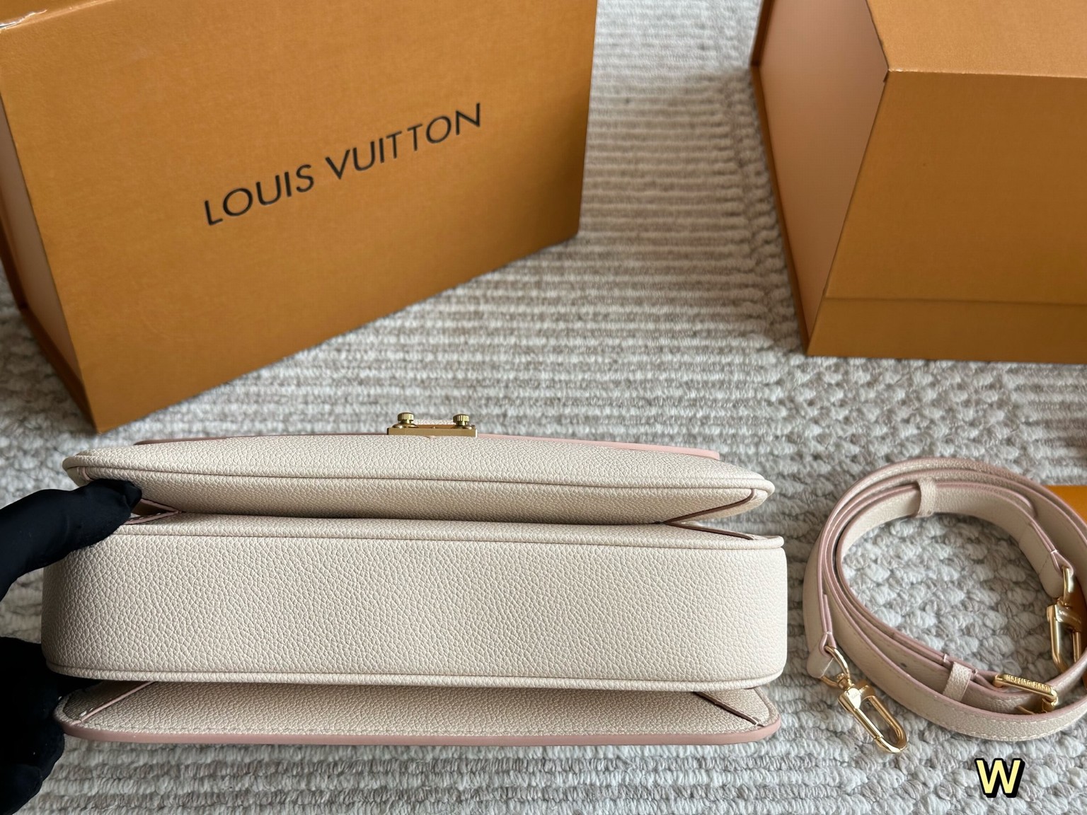 Louis Vuitton Bags