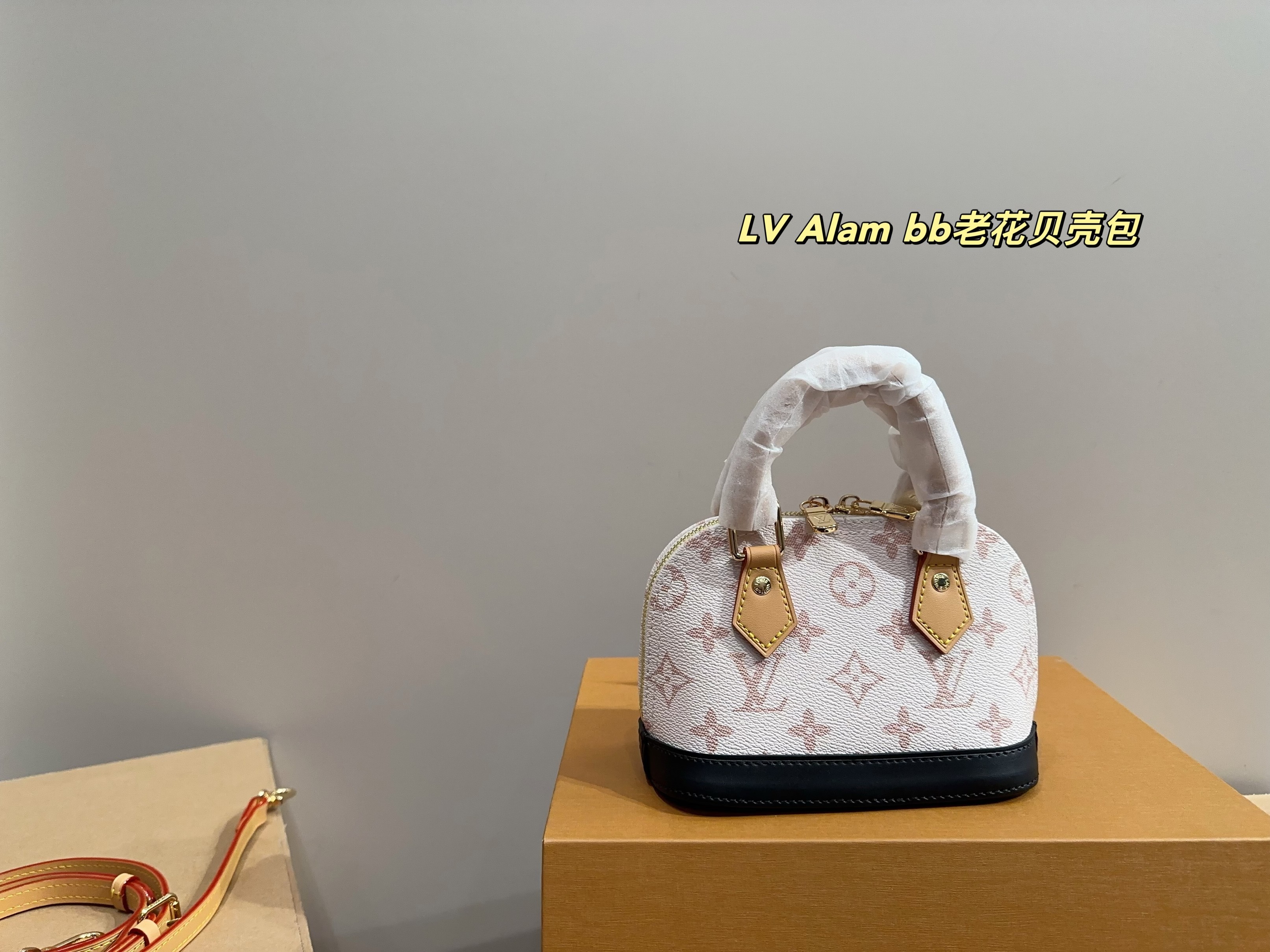 Louis Vuitton Bags