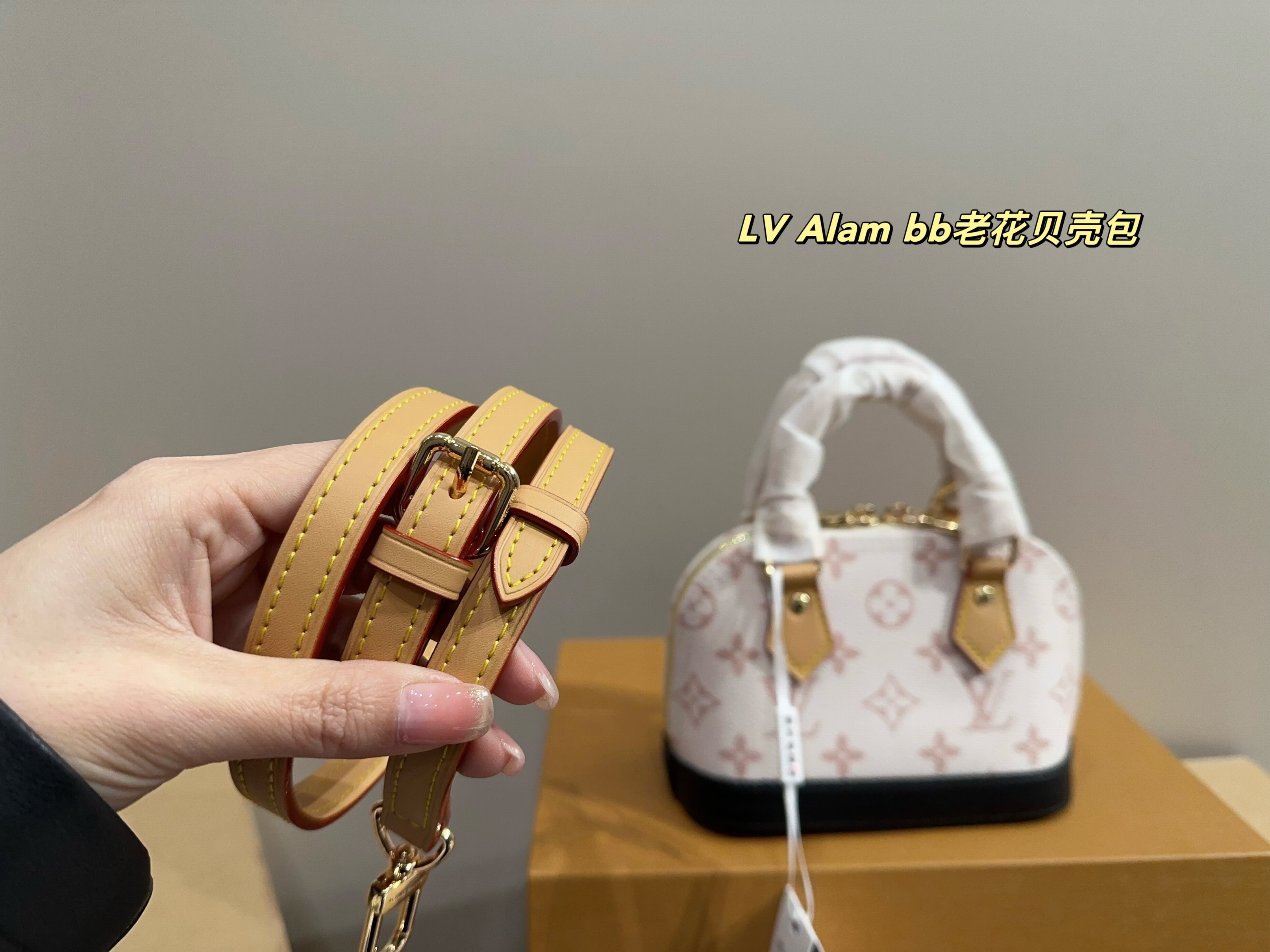 Louis Vuitton Bags