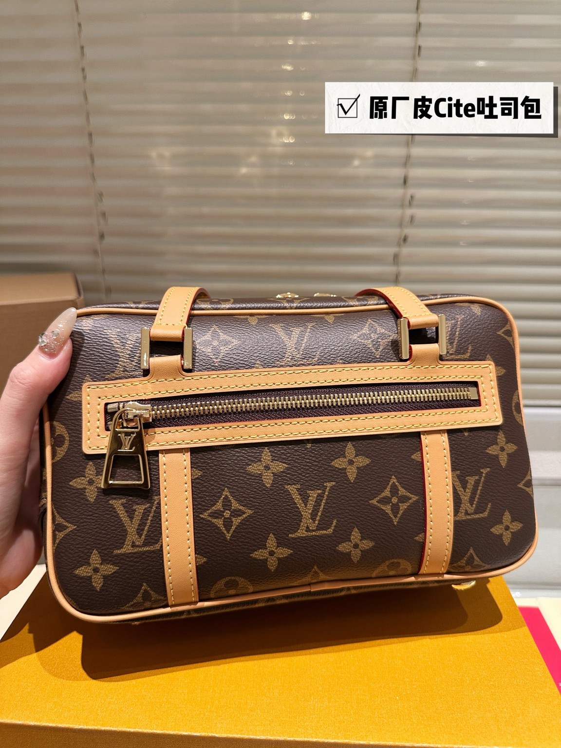 Louis Vuitton Bags