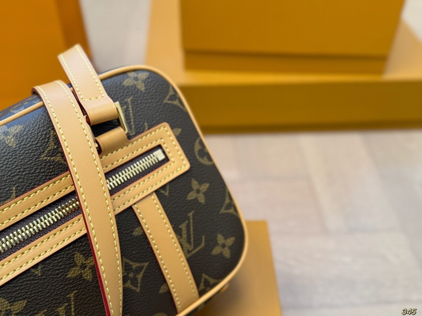 Louis Vuitton Bags