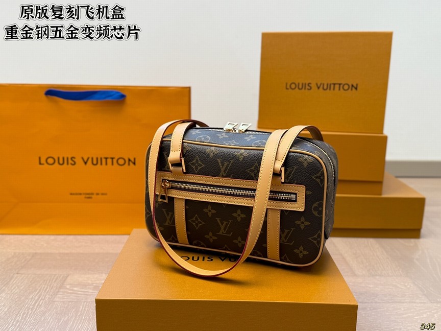 Louis Vuitton Bags
