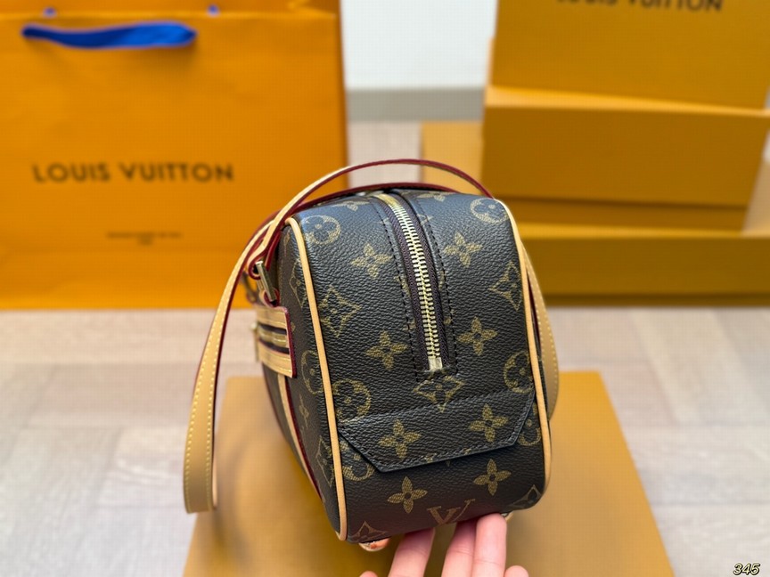 Louis Vuitton Bags