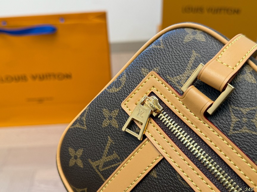 Louis Vuitton Bags