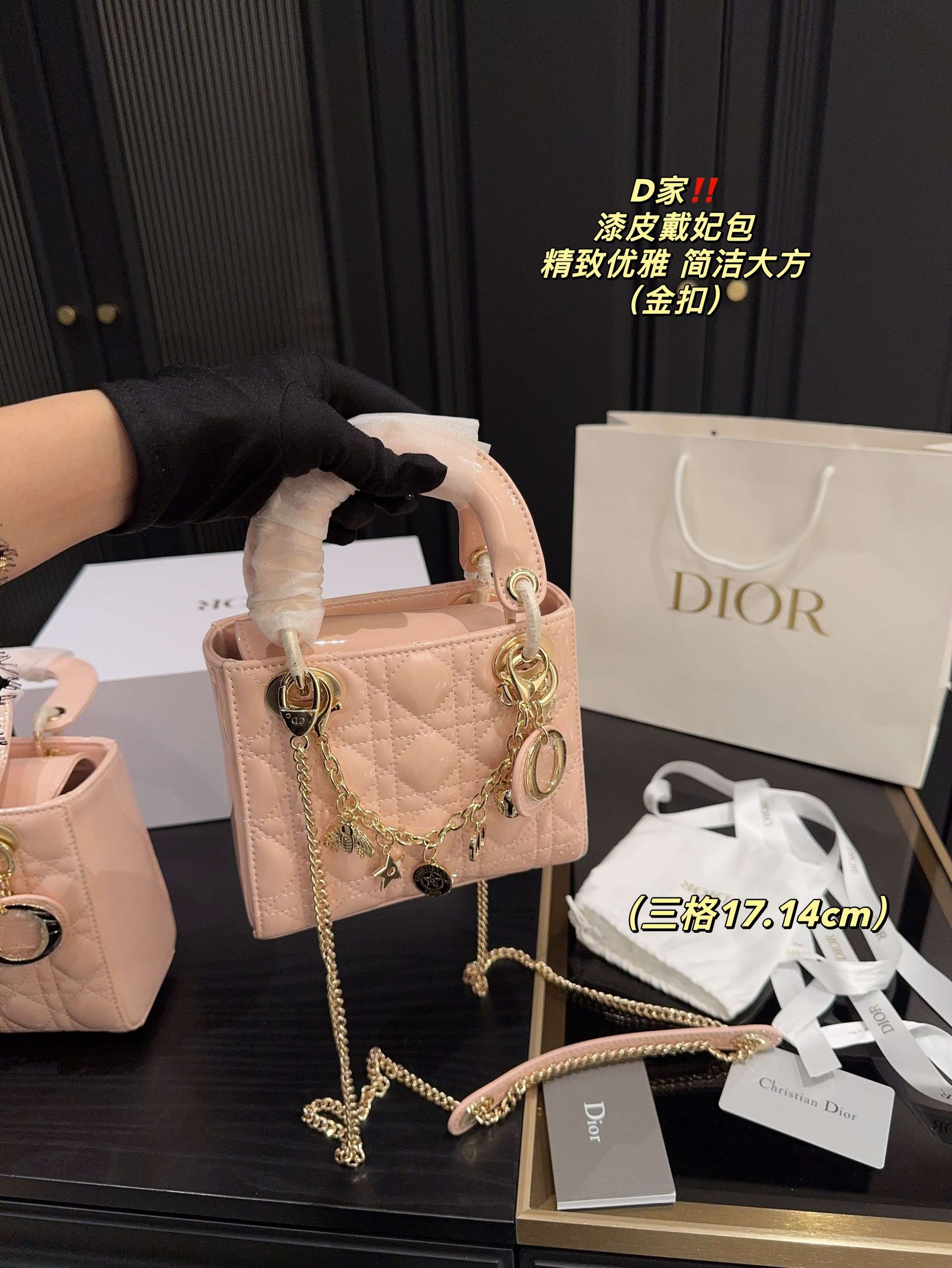Christian Dior Bags