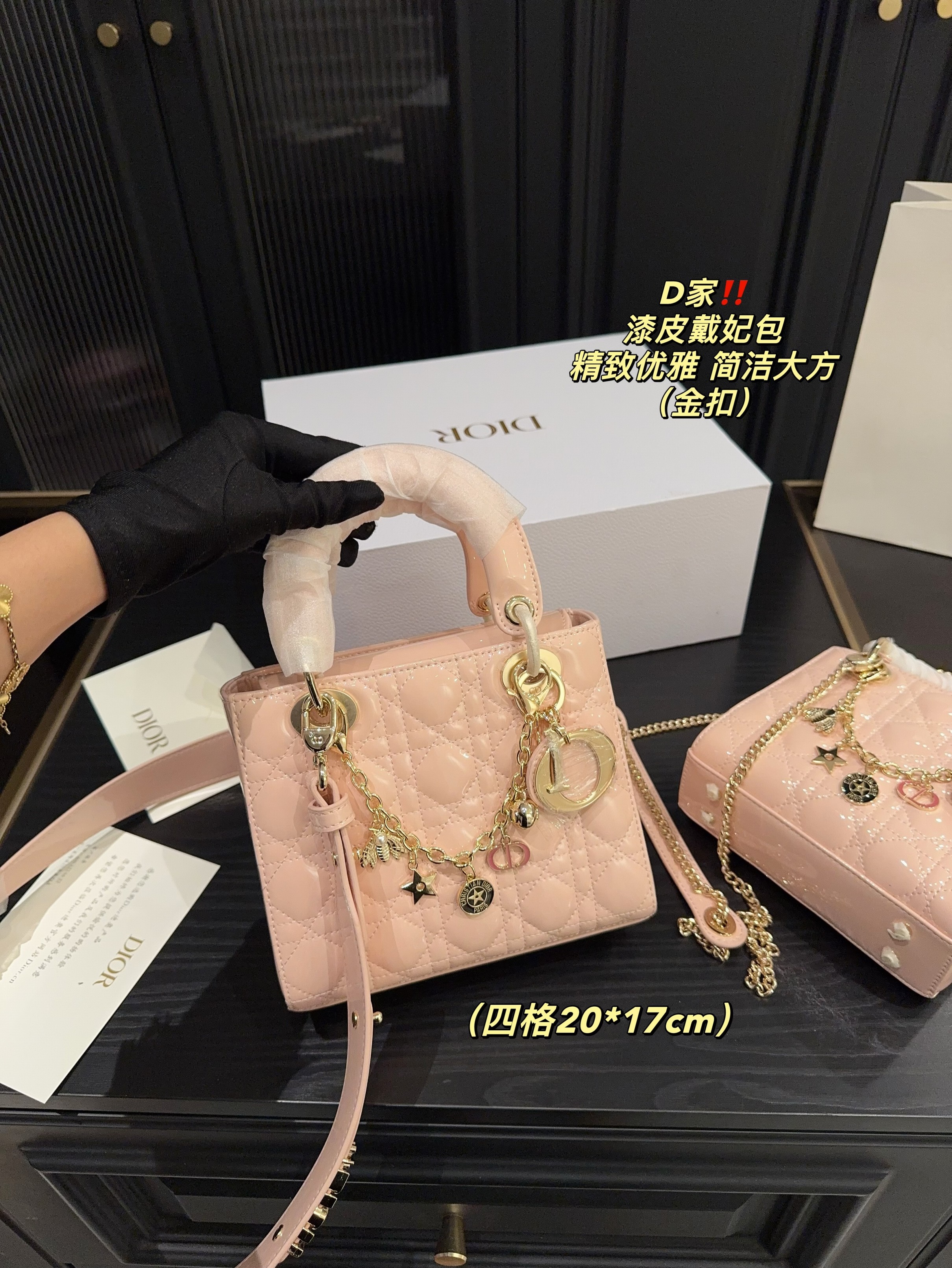 Christian Dior Bags