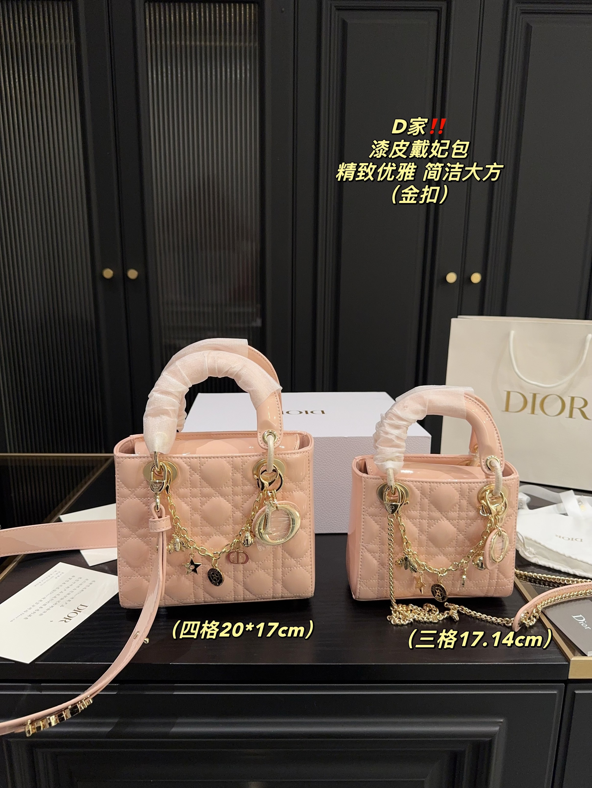 Christian Dior Bags