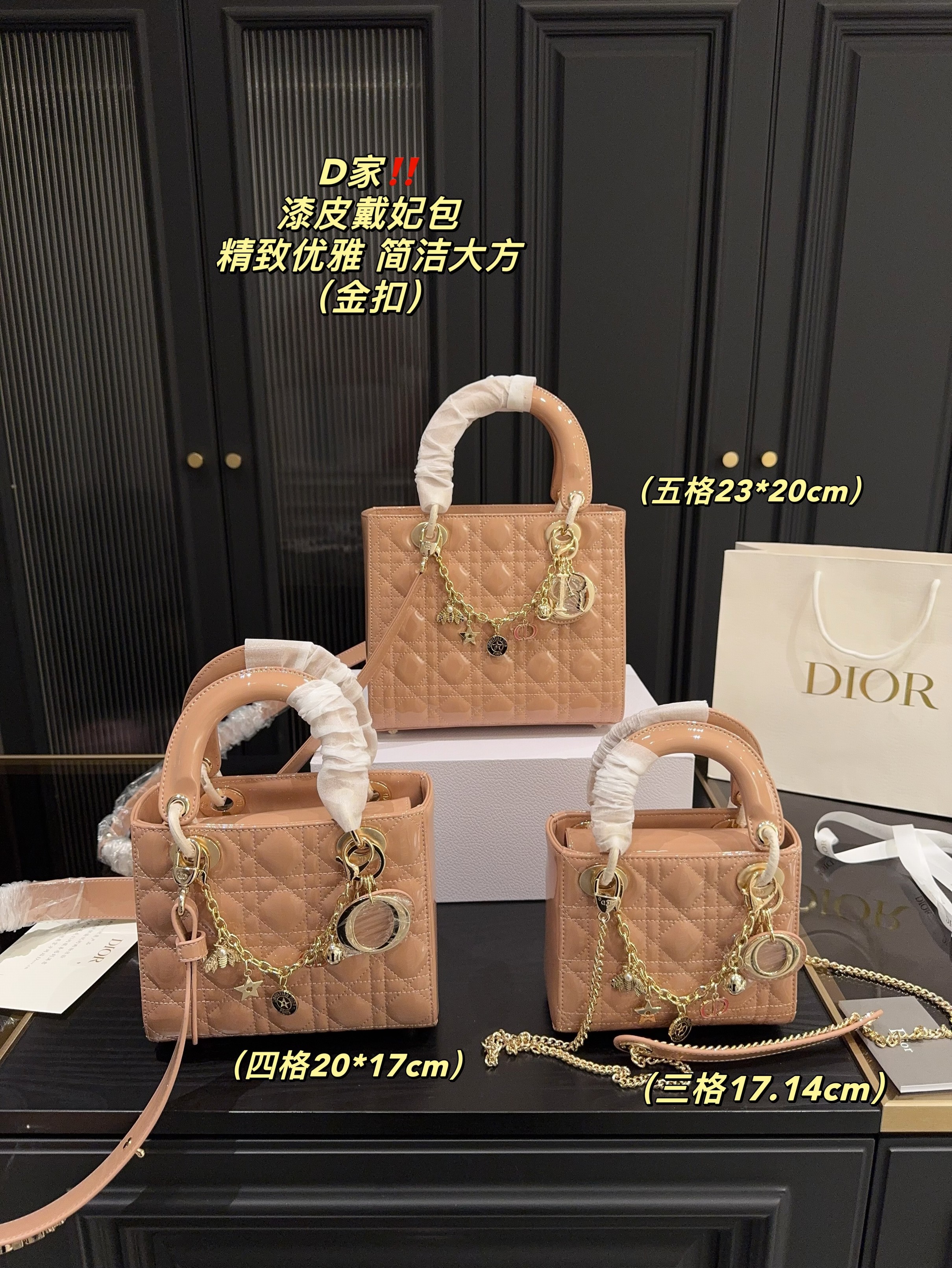 Christian Dior Bags