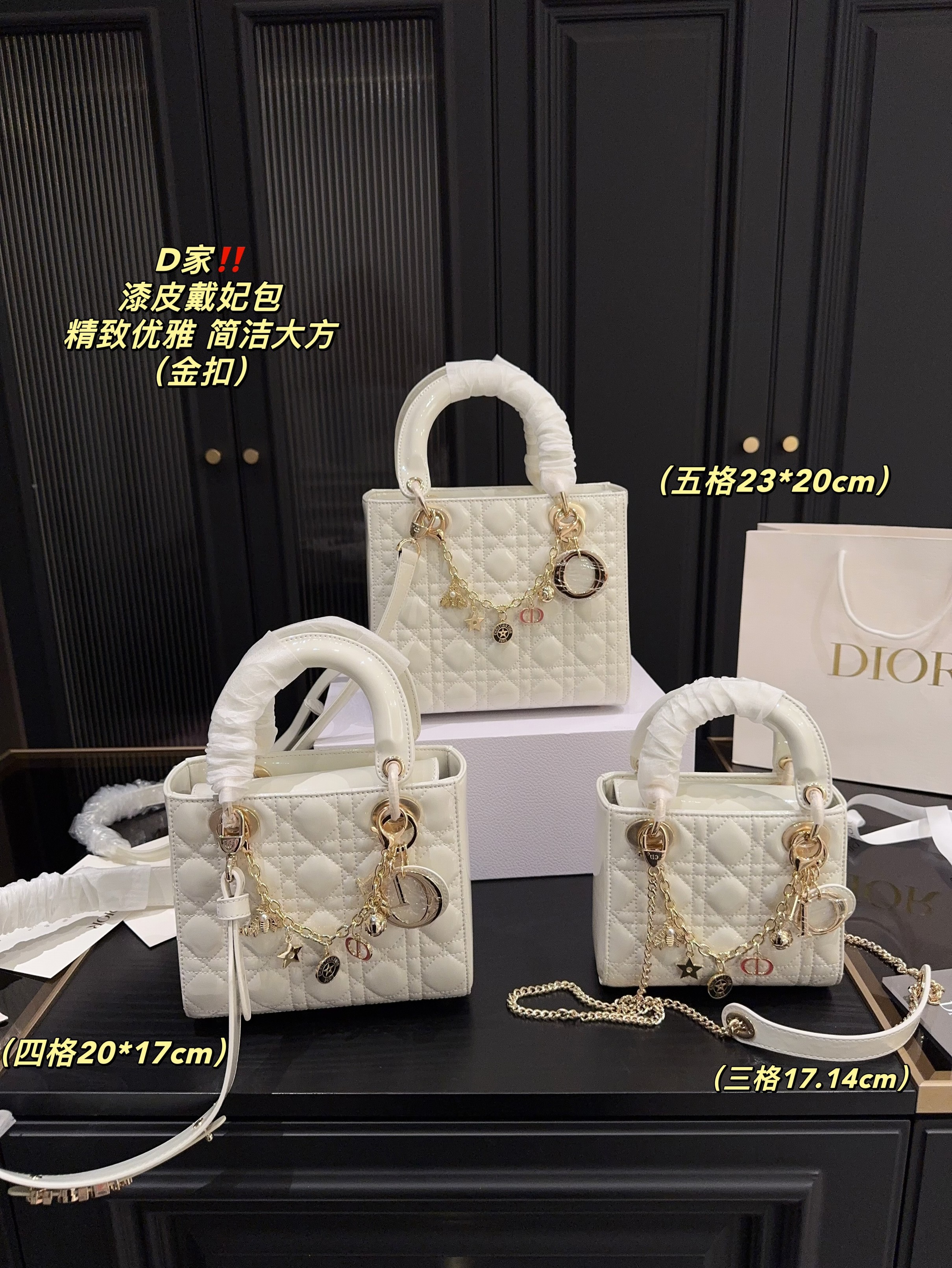 Christian Dior Bags