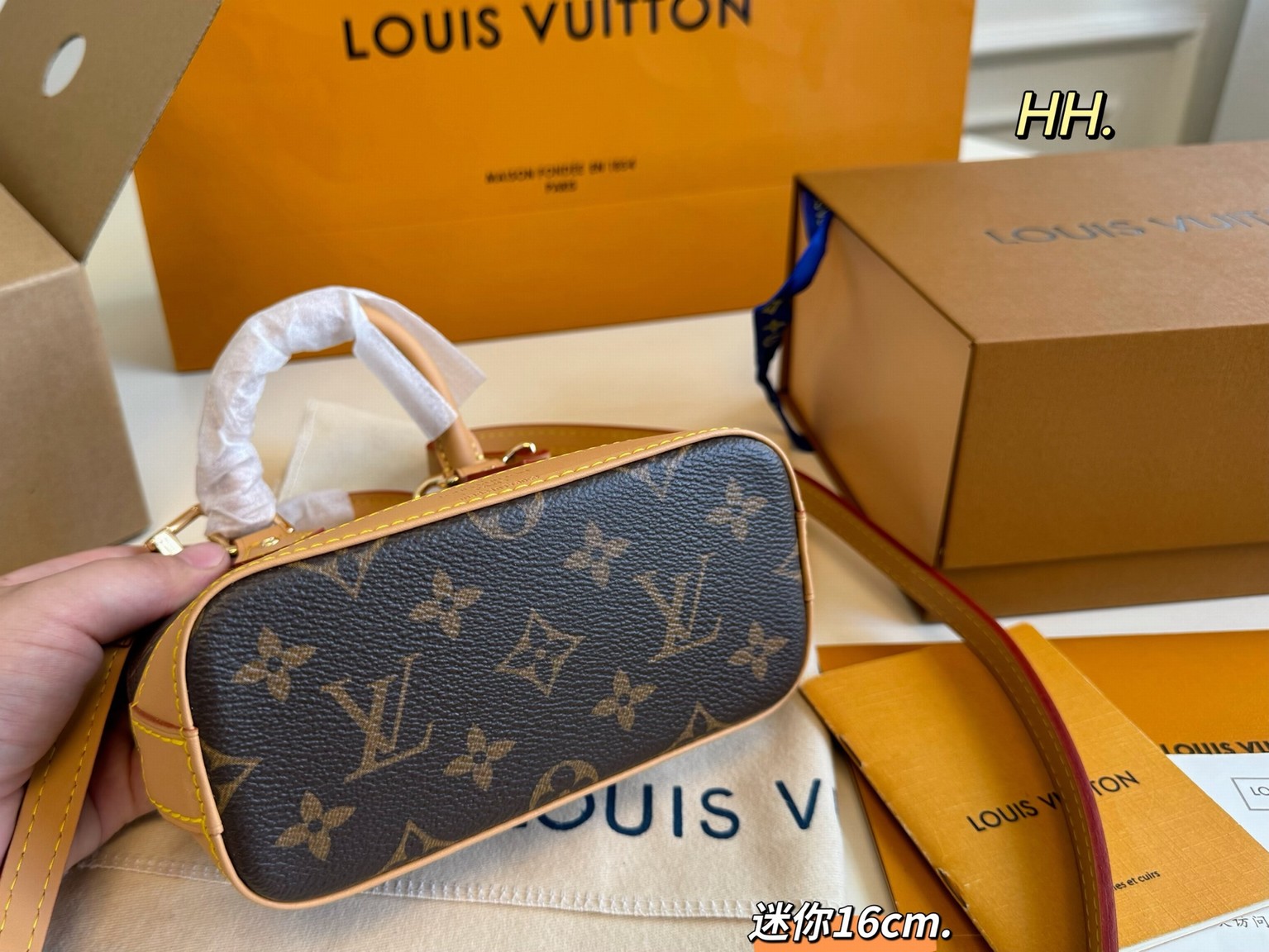 Louis Vuitton Bags