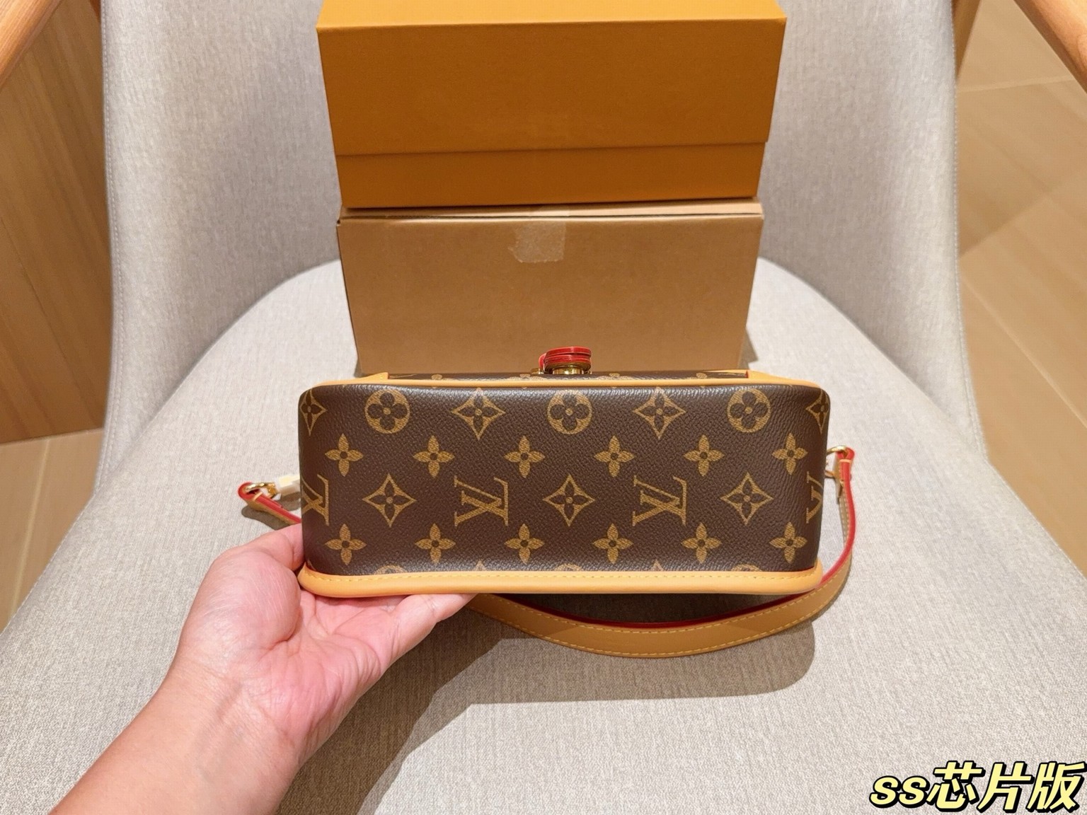 Louis Vuitton Bags
