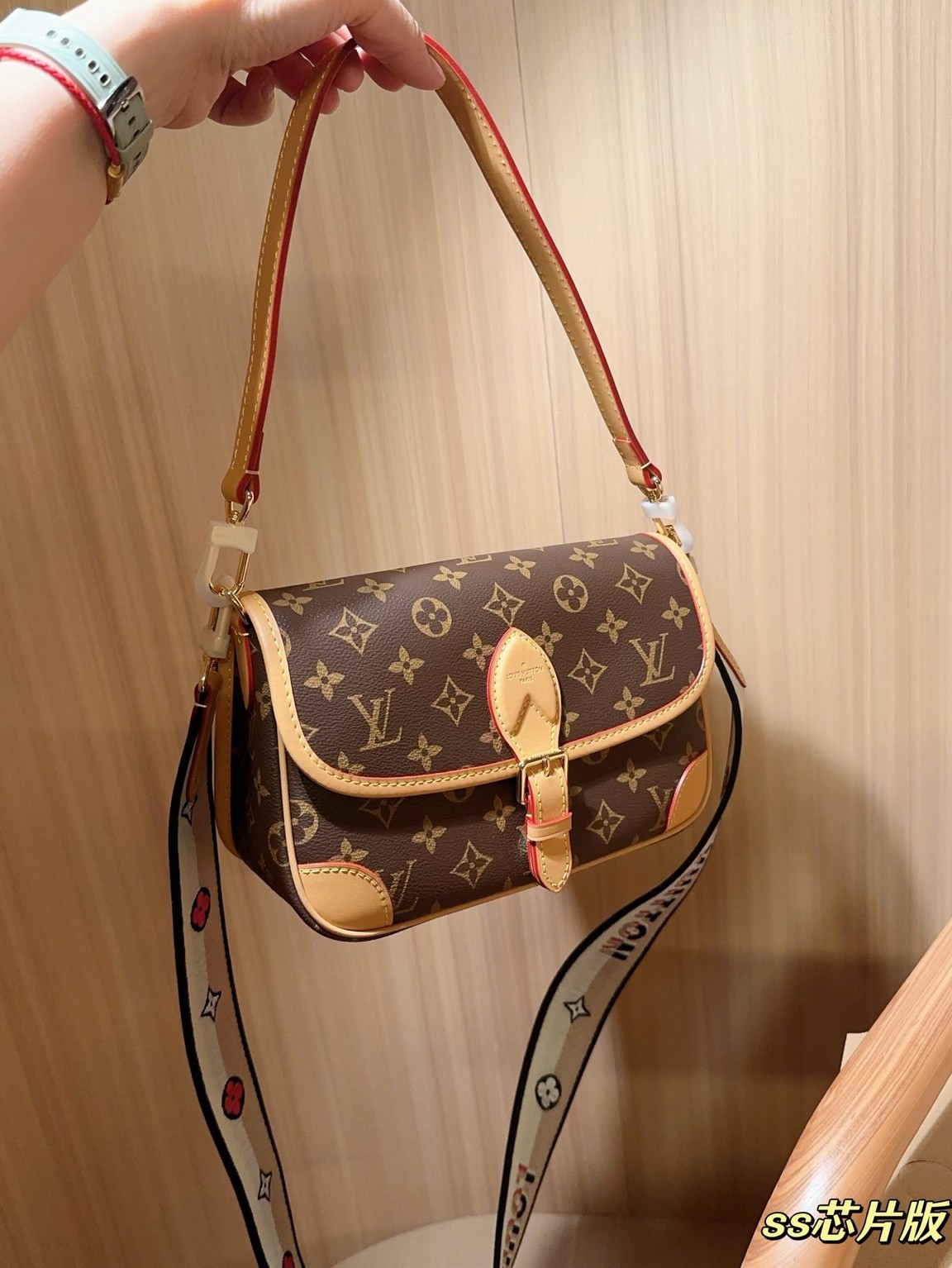 Louis Vuitton Bags