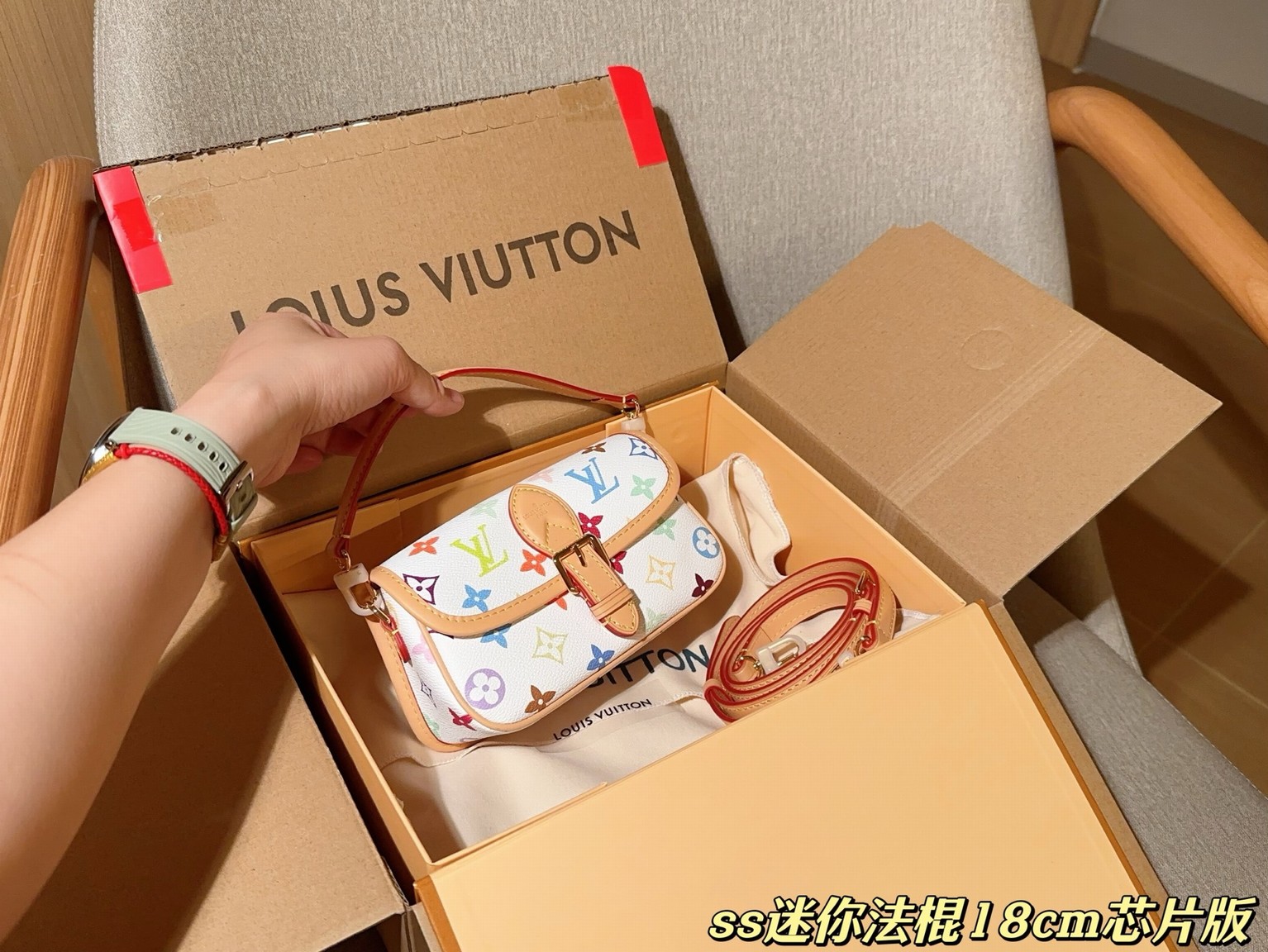 Louis Vuitton Bags