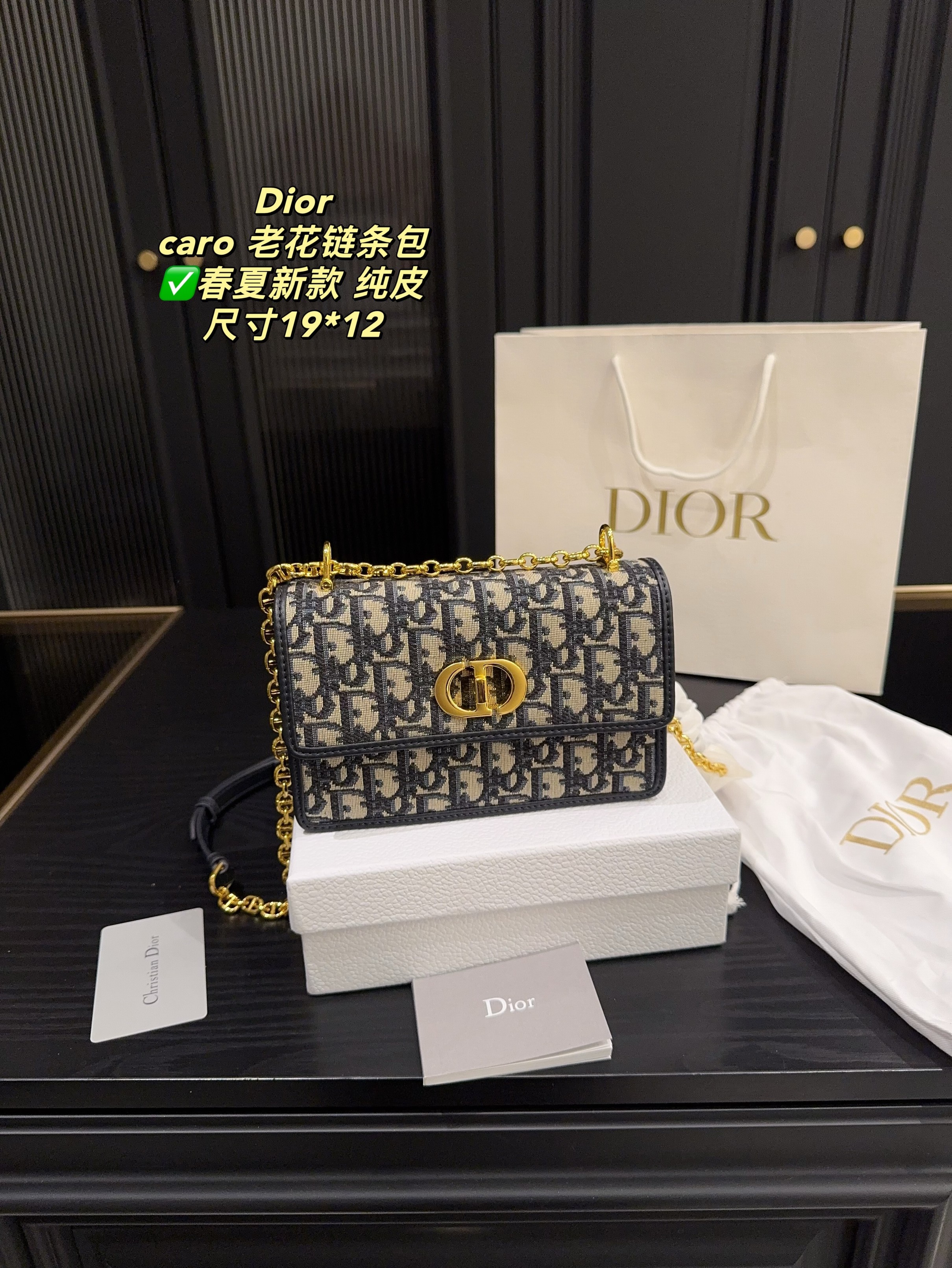 Christian Dior Bags