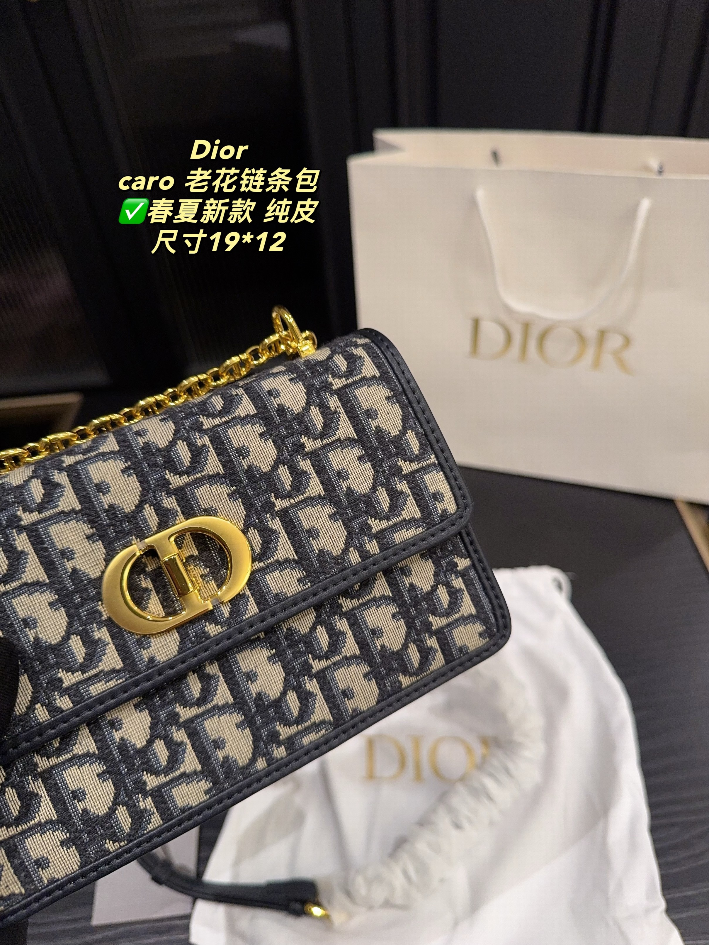 Christian Dior Bags