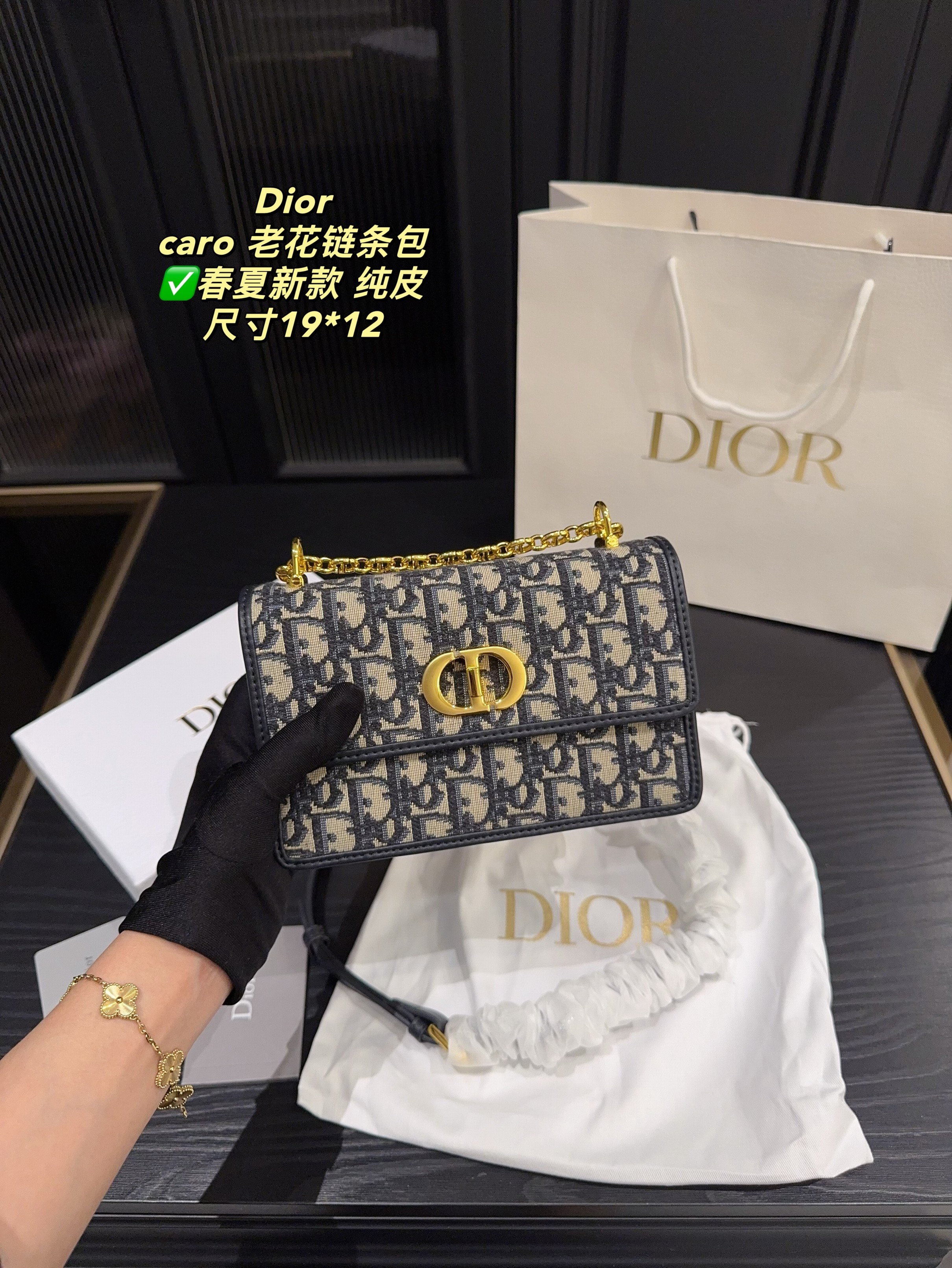 Christian Dior Bags