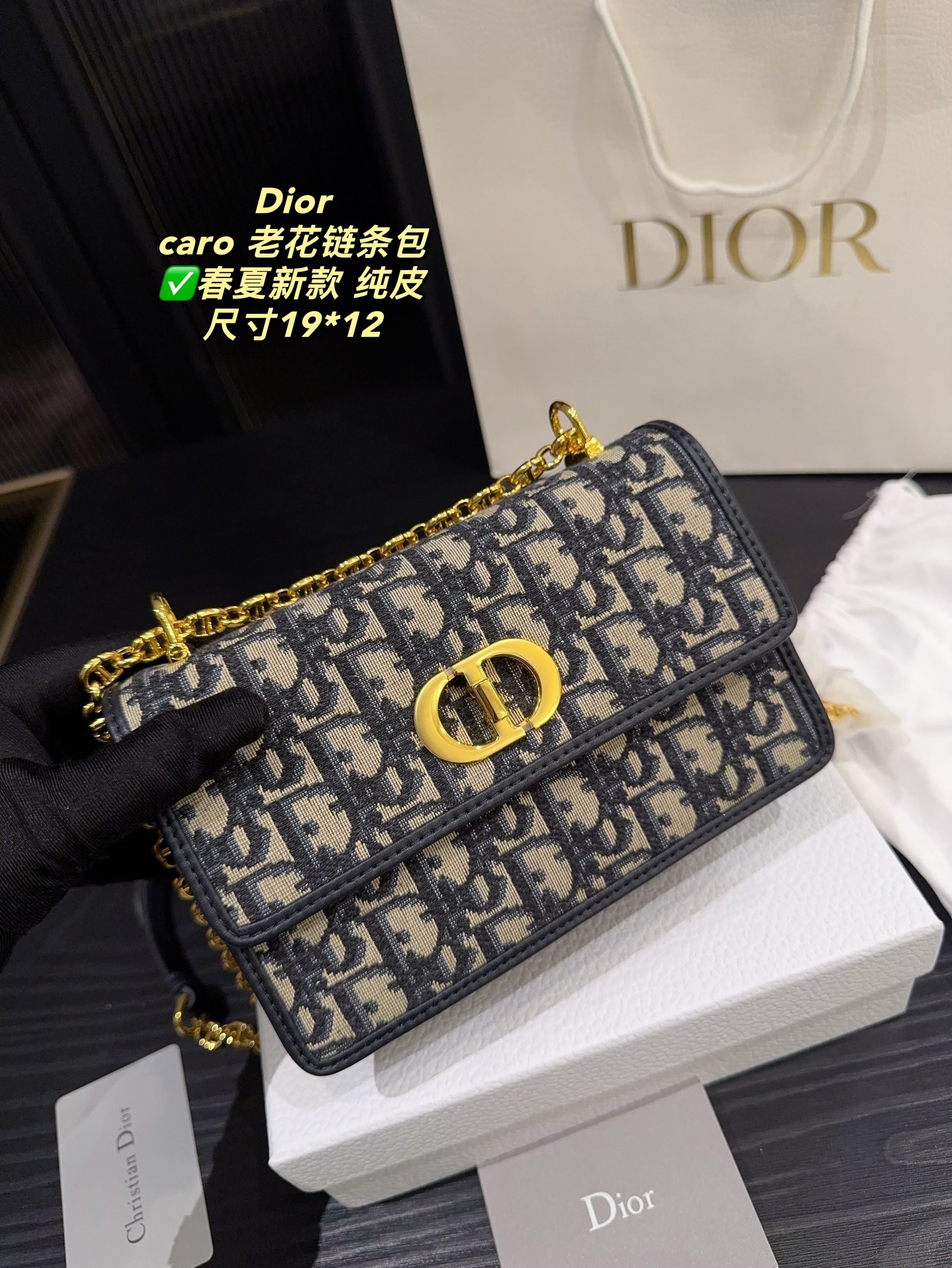 Christian Dior Bags