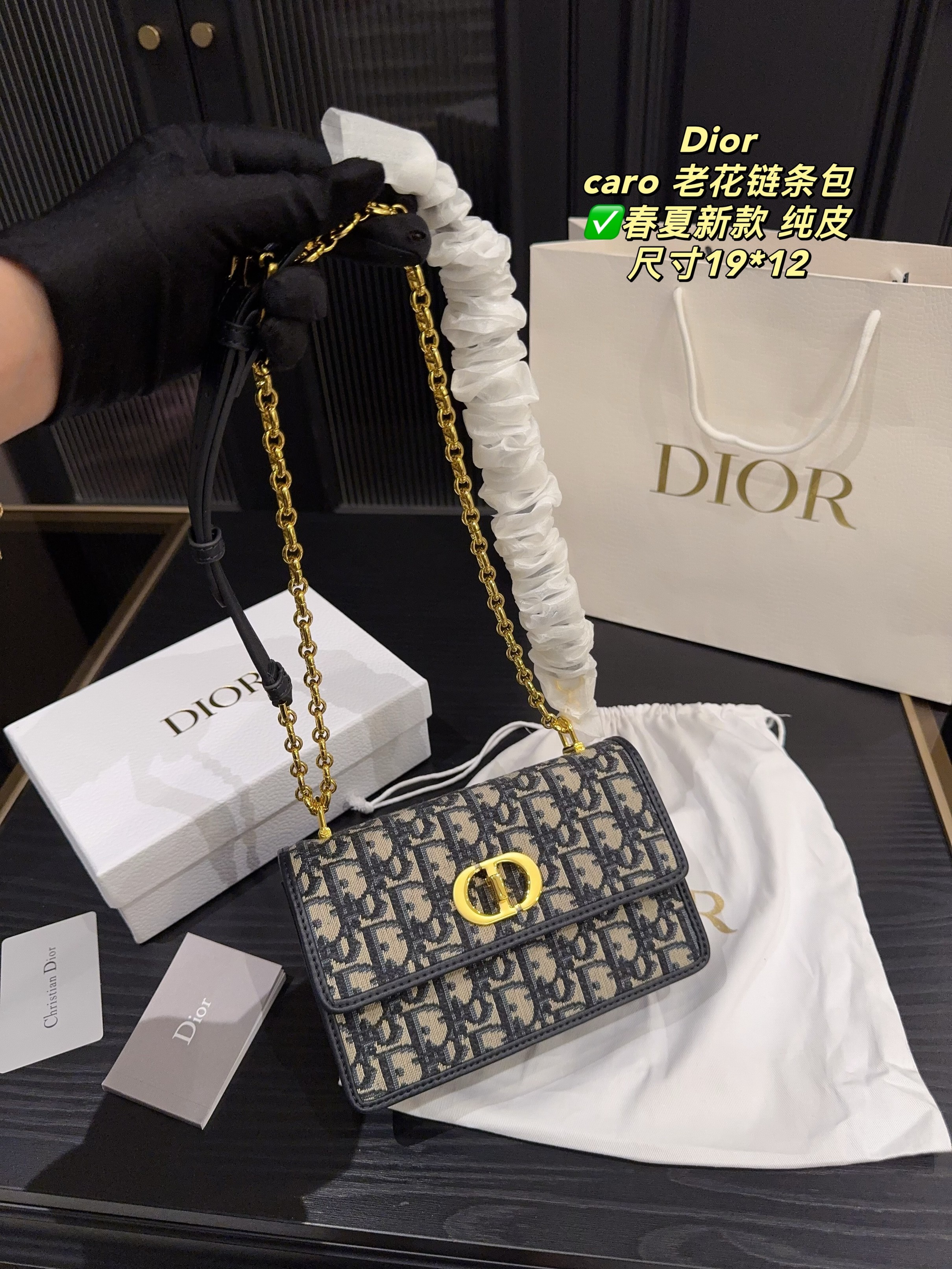 Christian Dior Bags