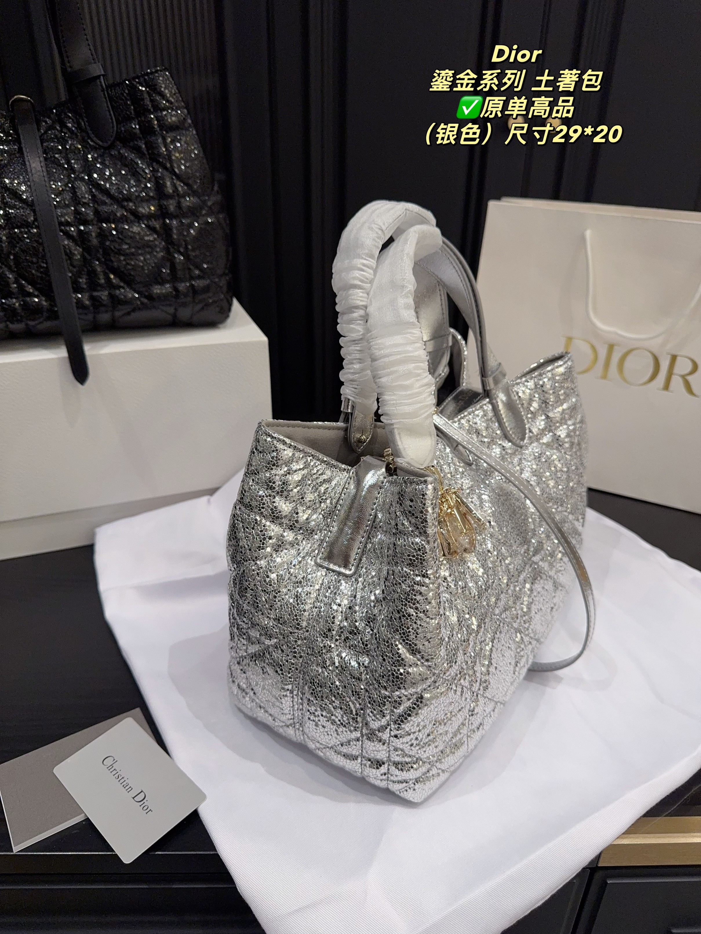Christian Dior Bags