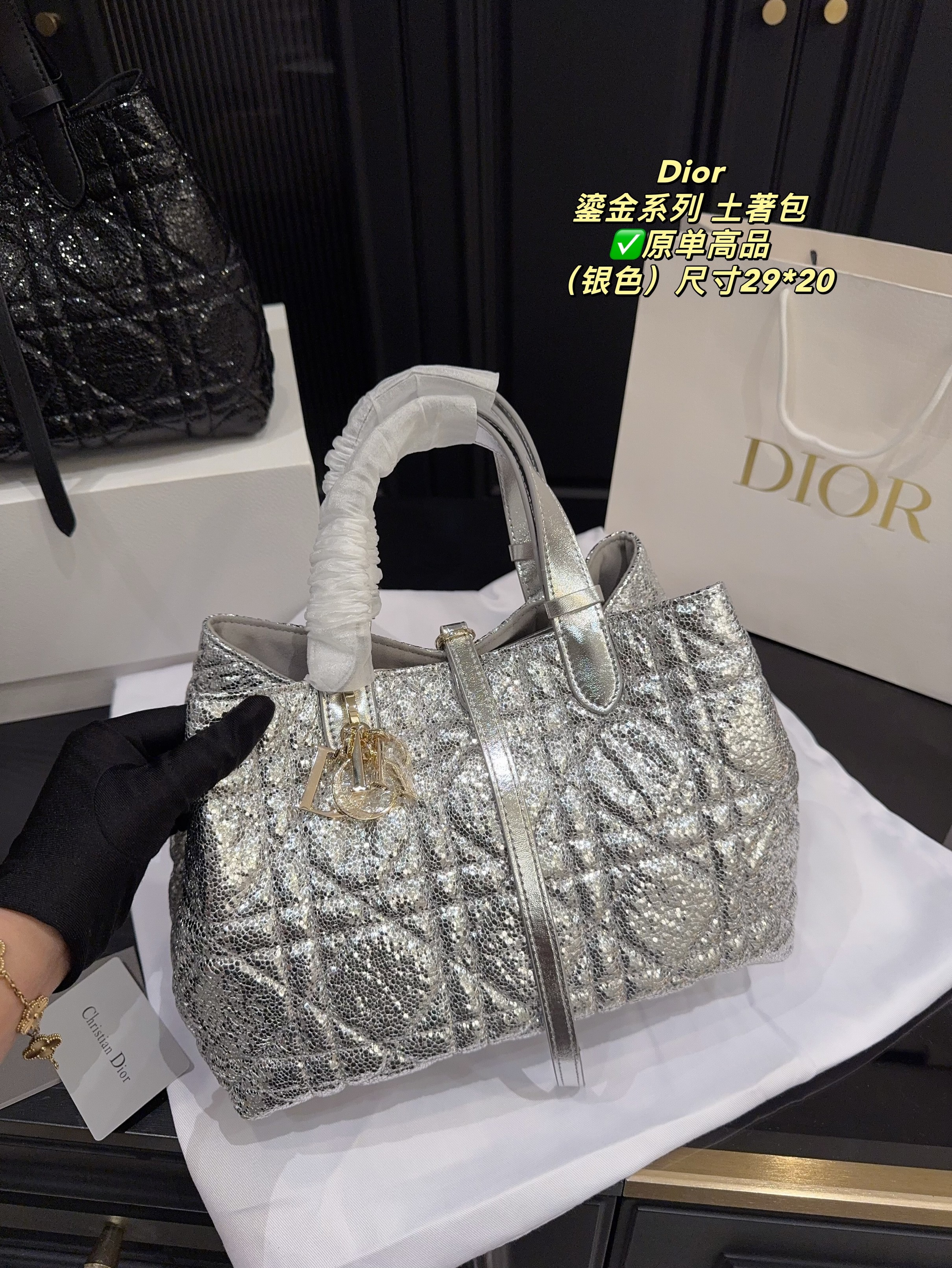 Christian Dior Bags