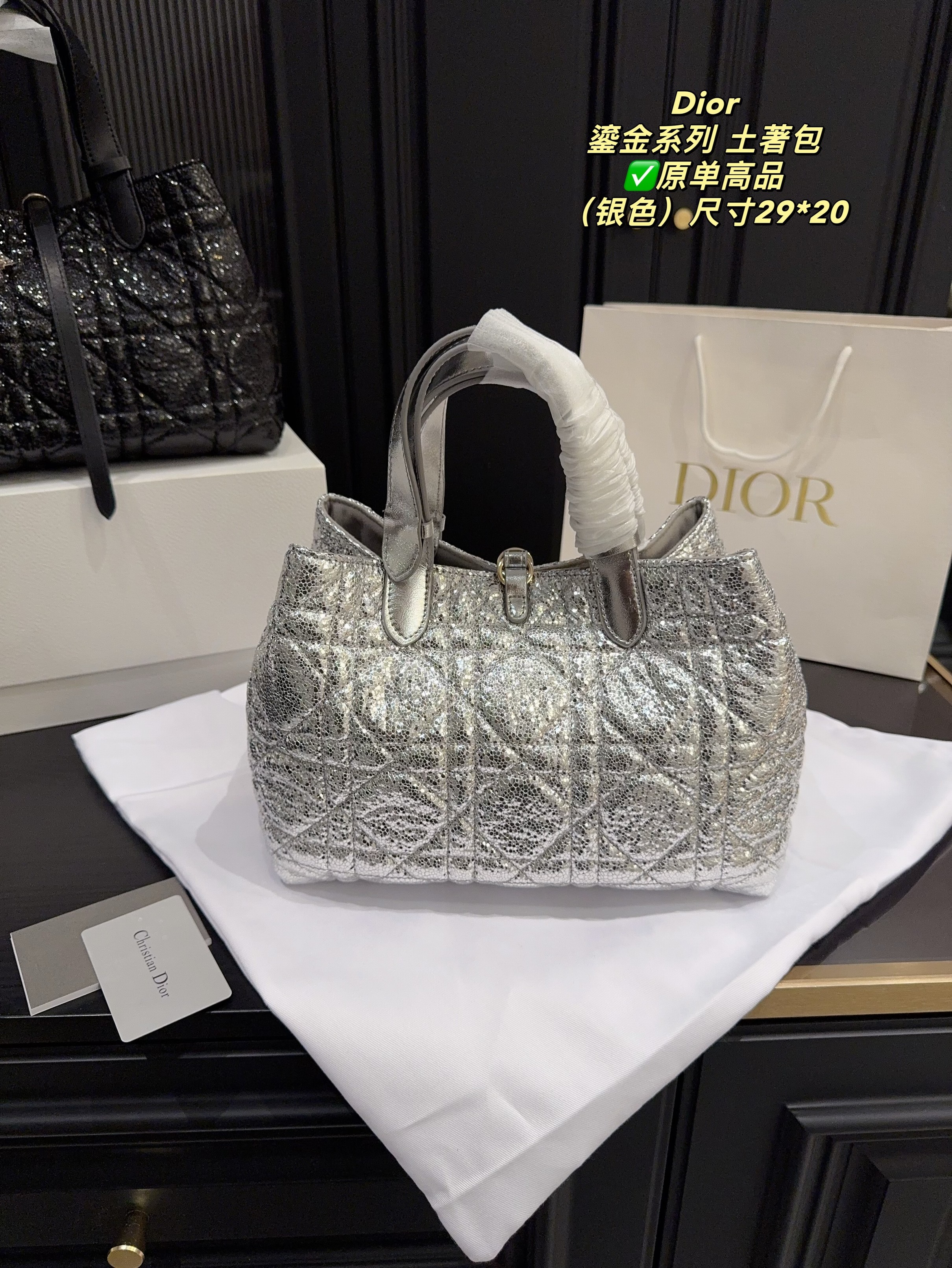 Christian Dior Bags