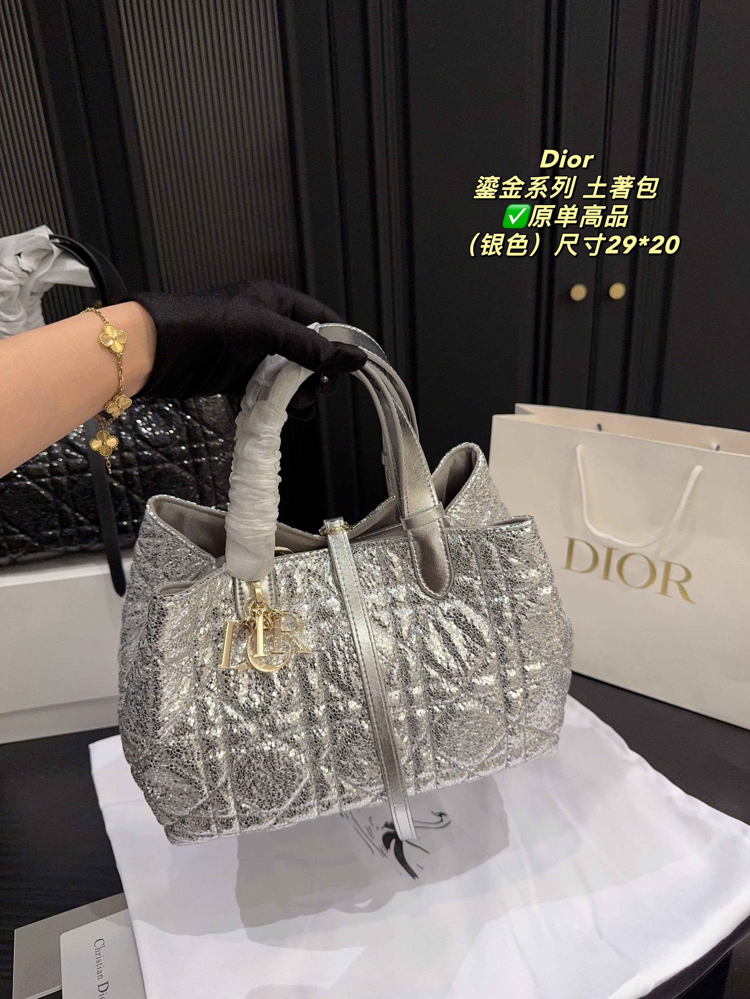 Christian Dior Bags