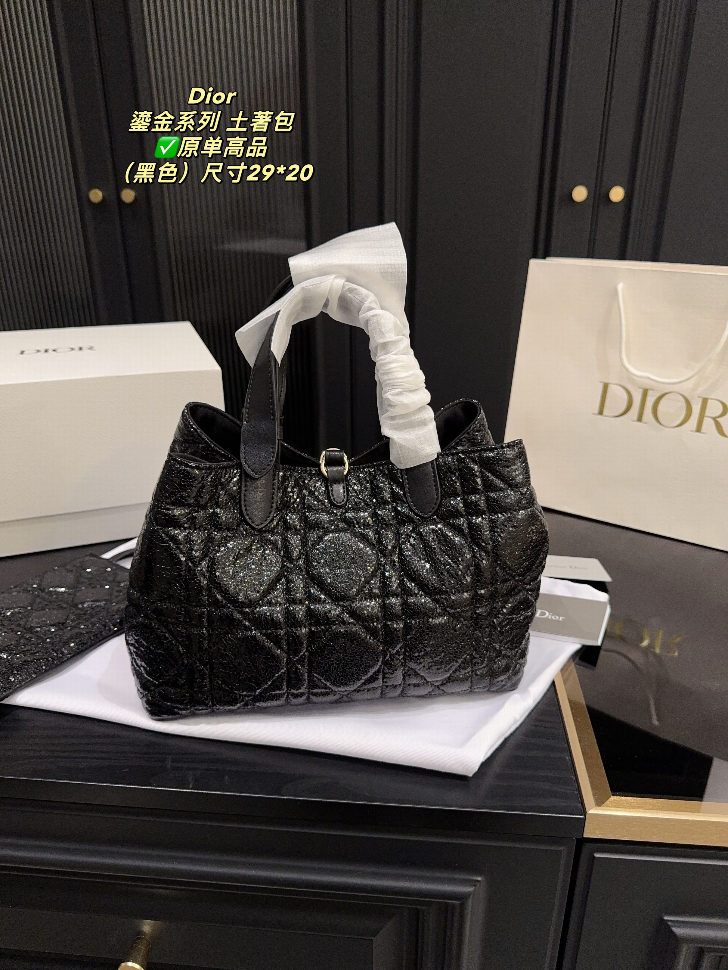 Christian Dior Bags