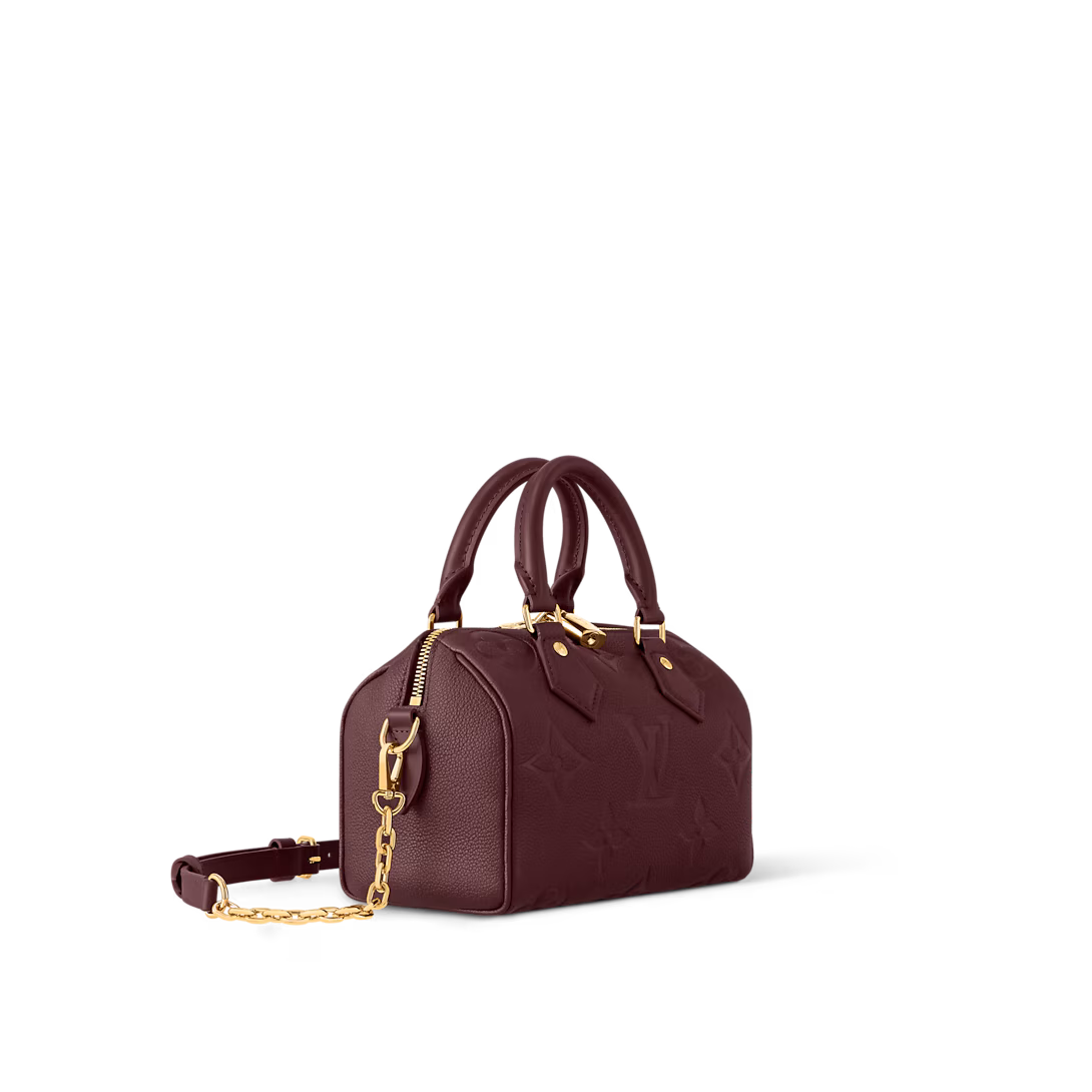 Louis Vuitton Bags