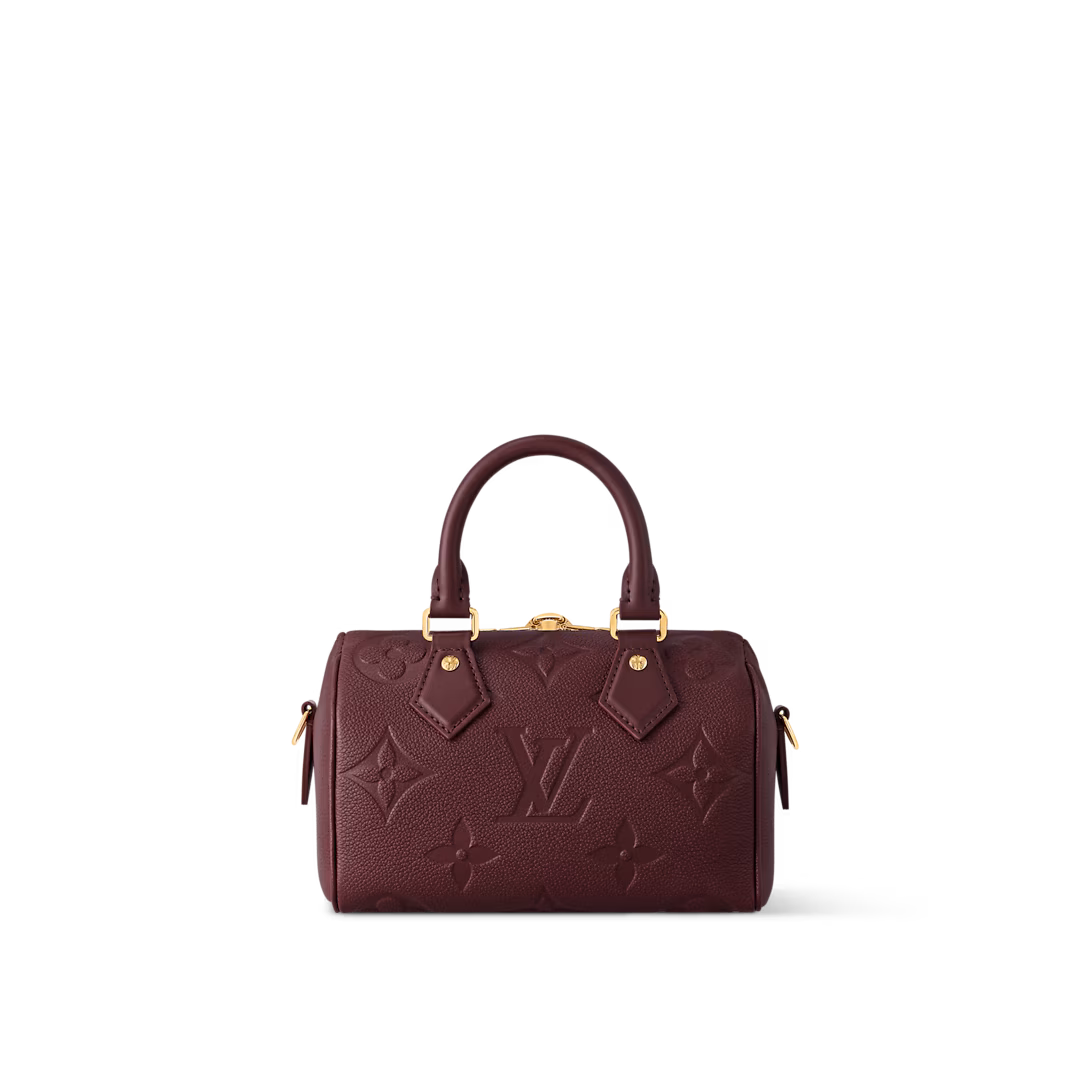 Louis Vuitton Bags