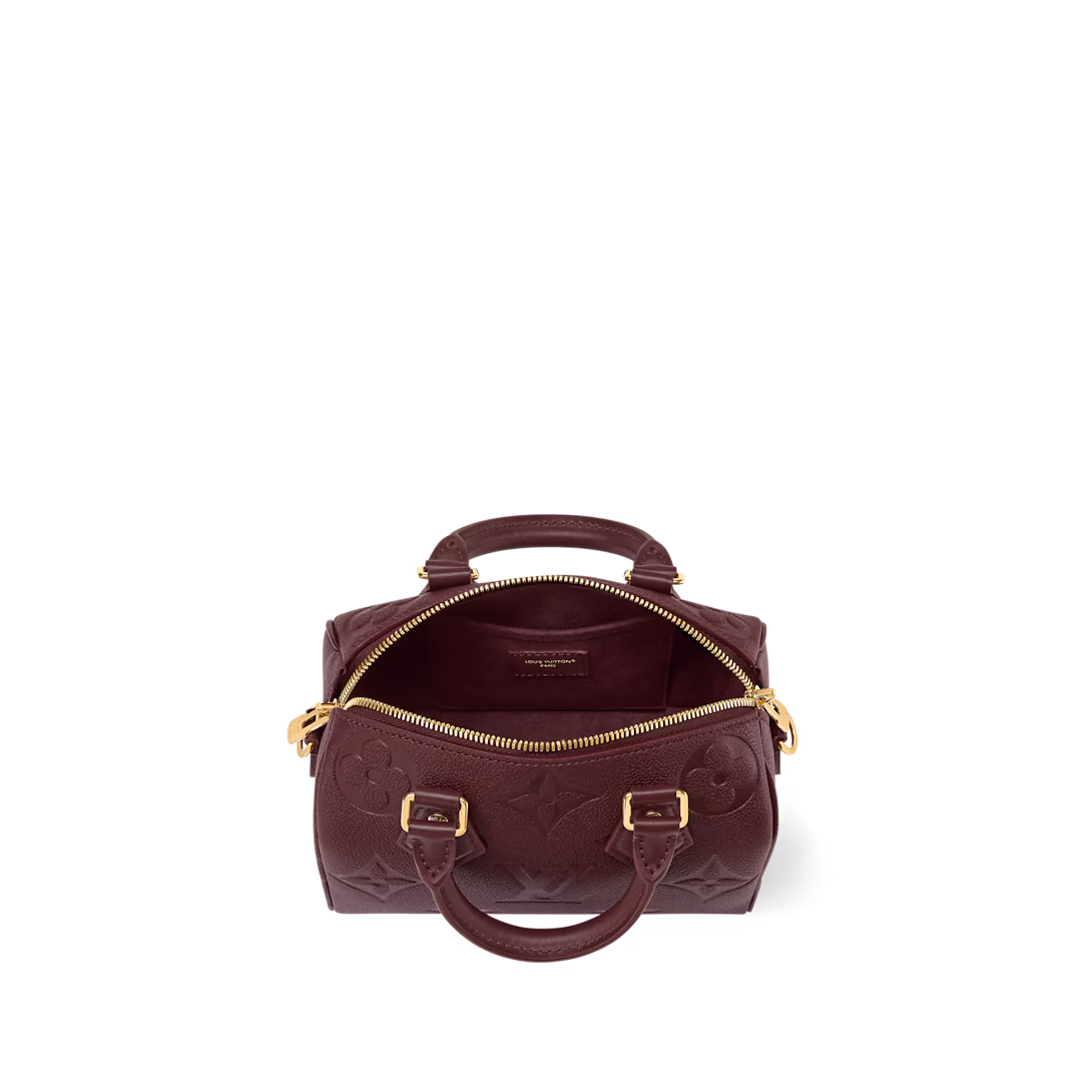 Louis Vuitton Bags