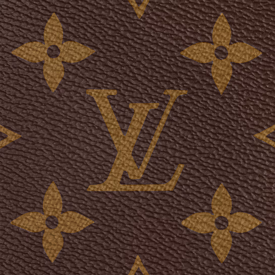 Louis Vuitton Bags