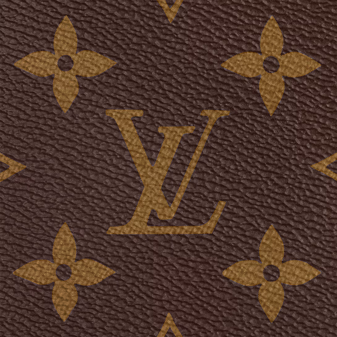 Louis Vuitton Bags