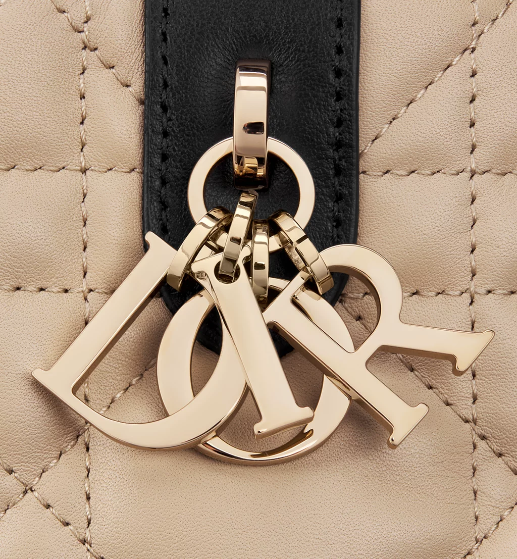 Christian Dior Bags