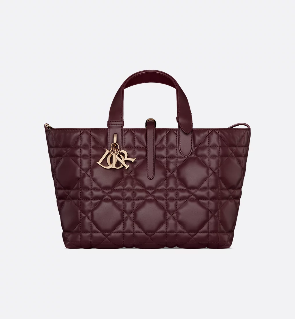 Christian Dior Bags